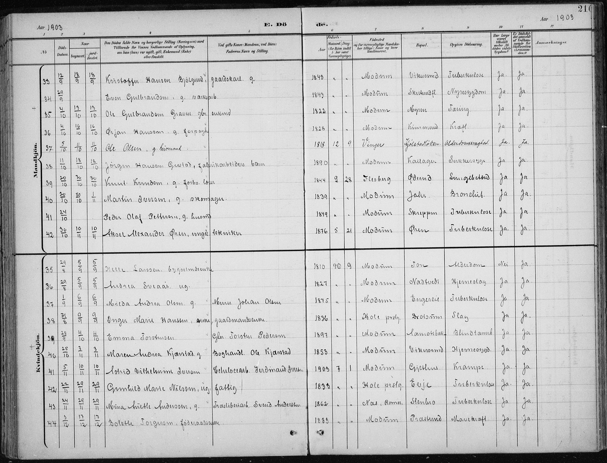 Modum kirkebøker, AV/SAKO-A-234/F/Fa/L0013: Parish register (official) no. 13, 1899-1907, p. 210