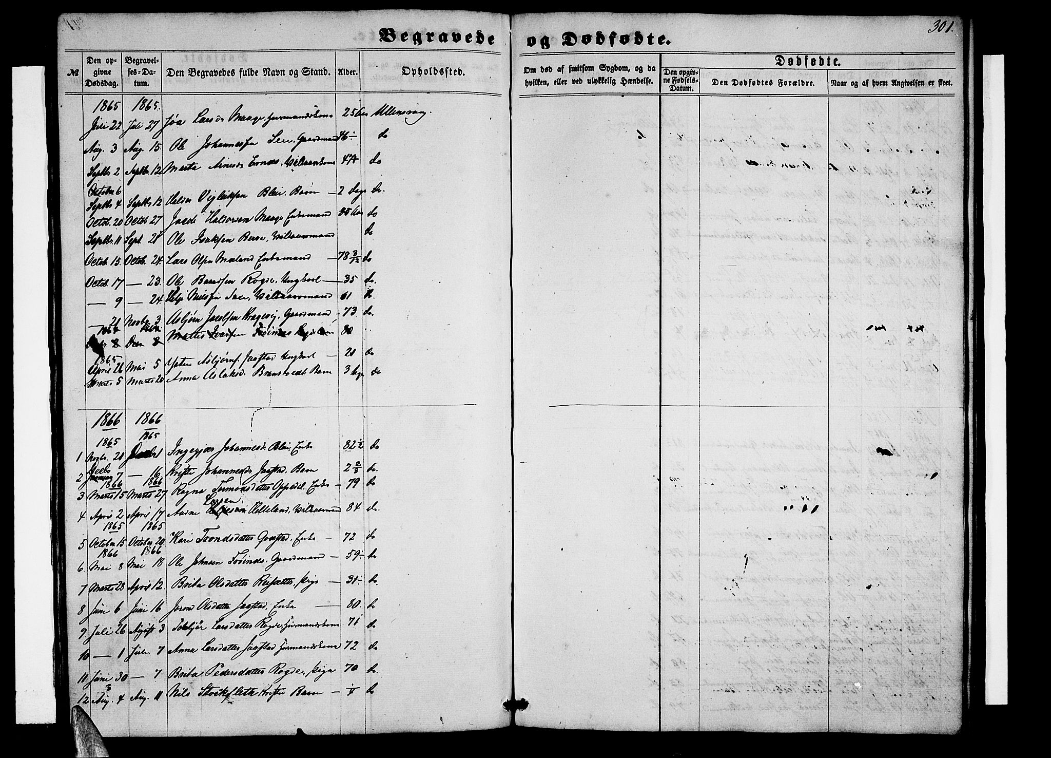 Ullensvang sokneprestembete, SAB/A-78701/H/Hab: Parish register (copy) no. B 10, 1858-1886, p. 301