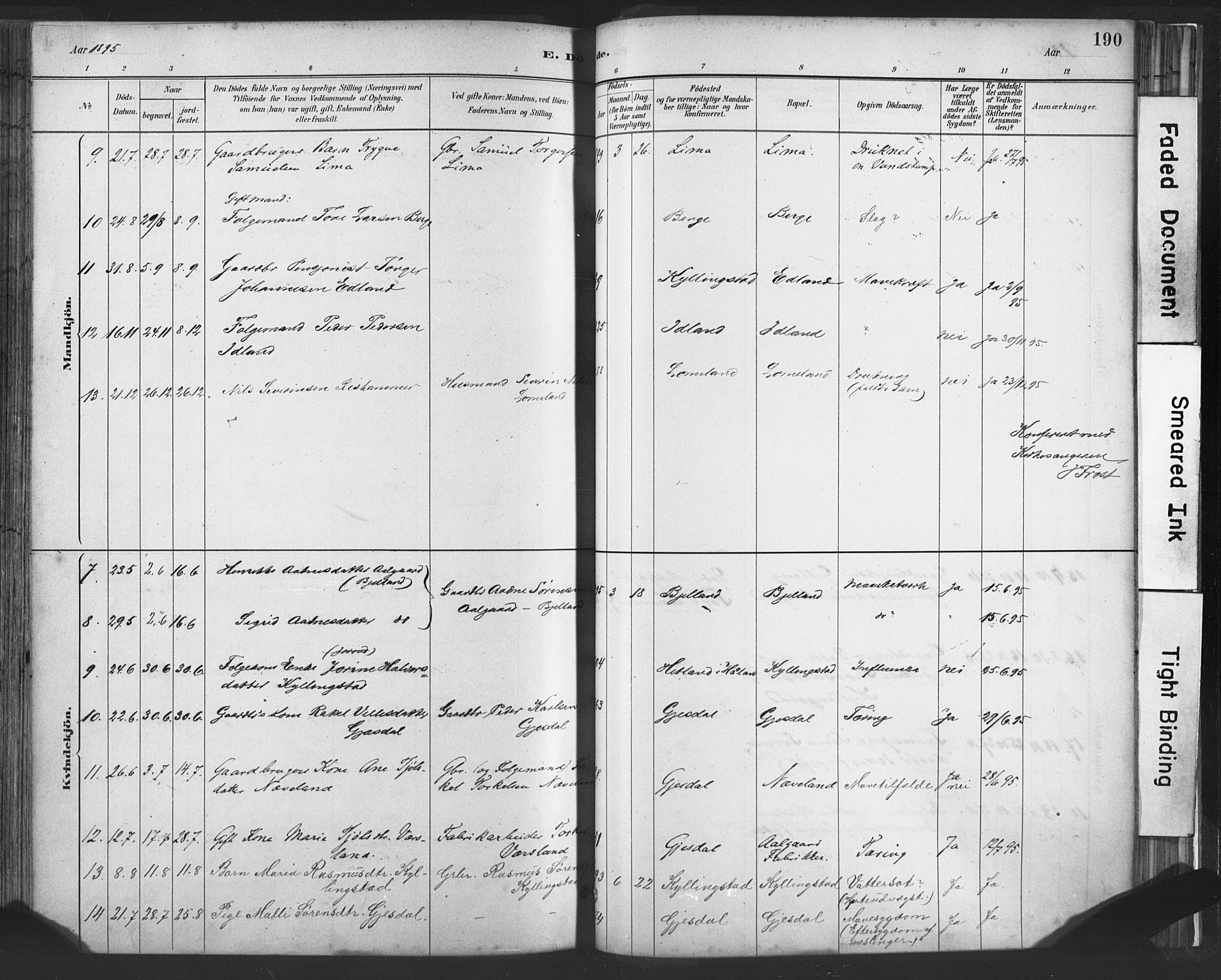 Lye sokneprestkontor, SAST/A-101794/001/30BA/L0010: Parish register (official) no. A 10, 1881-1896, p. 190