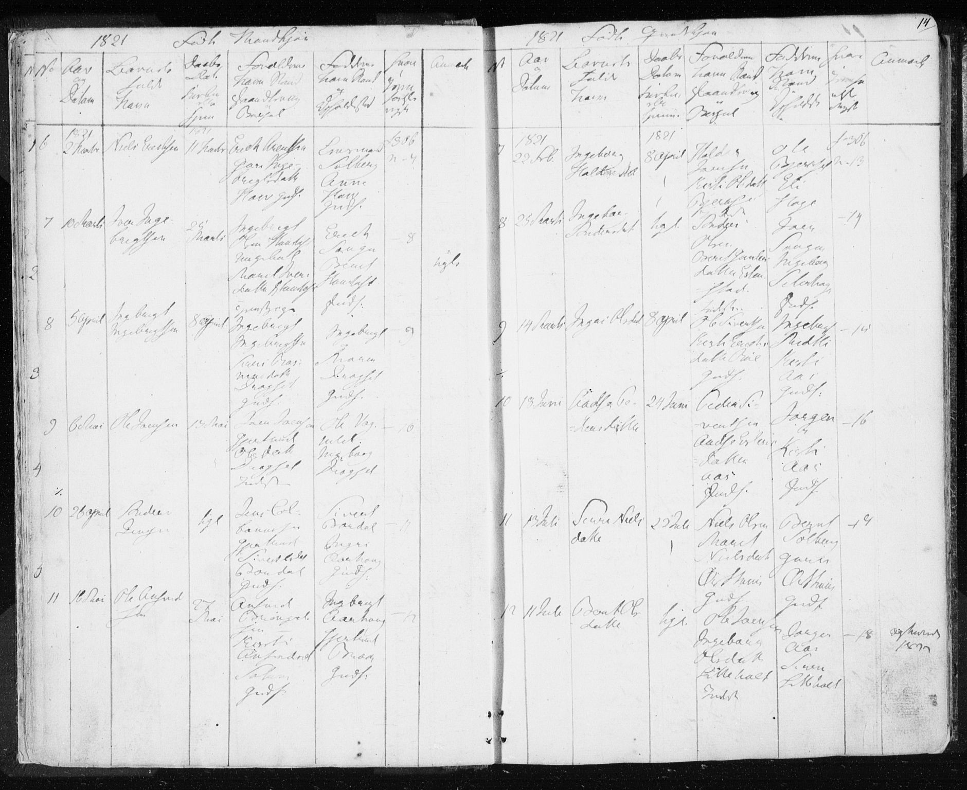 Ministerialprotokoller, klokkerbøker og fødselsregistre - Sør-Trøndelag, AV/SAT-A-1456/689/L1043: Parish register (copy) no. 689C02, 1816-1892, p. 14