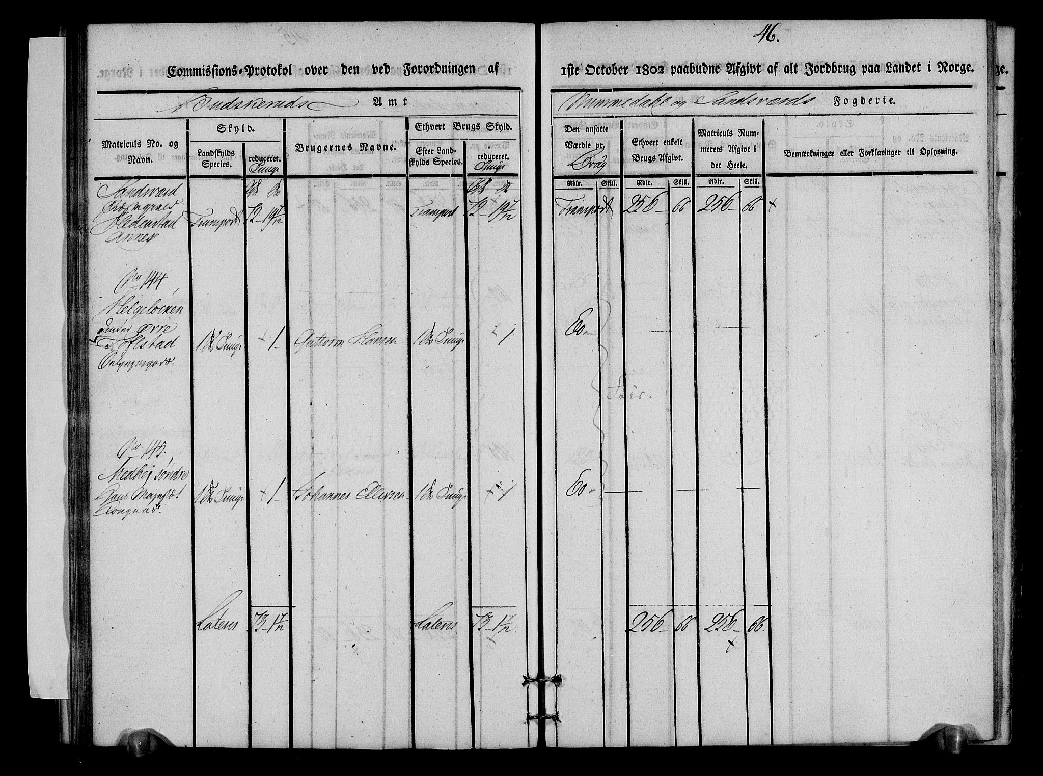 Rentekammeret inntil 1814, Realistisk ordnet avdeling, AV/RA-EA-4070/N/Ne/Nea/L0053: Numedal og Sandsvær fogderi. Kommisjonsprotokoll over matrikulerte jordbruk i Hedenstad anneks, 1803, p. 47