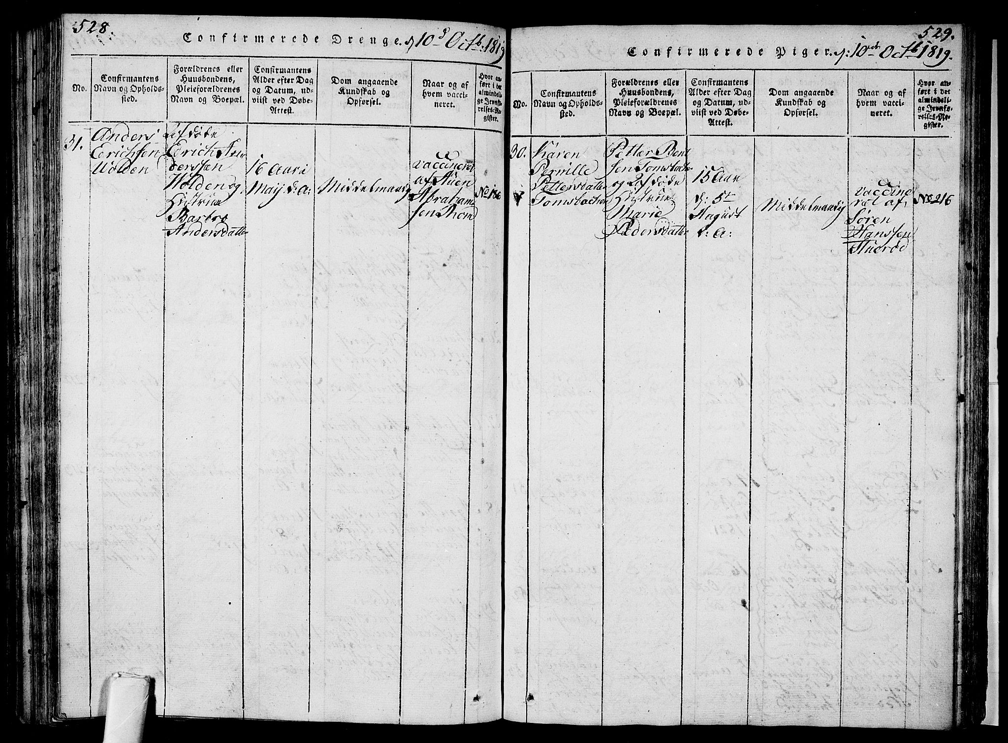 Sem kirkebøker, AV/SAKO-A-5/F/Fa/L0004: Parish register (official) no. I 4, 1814-1825, p. 528-529