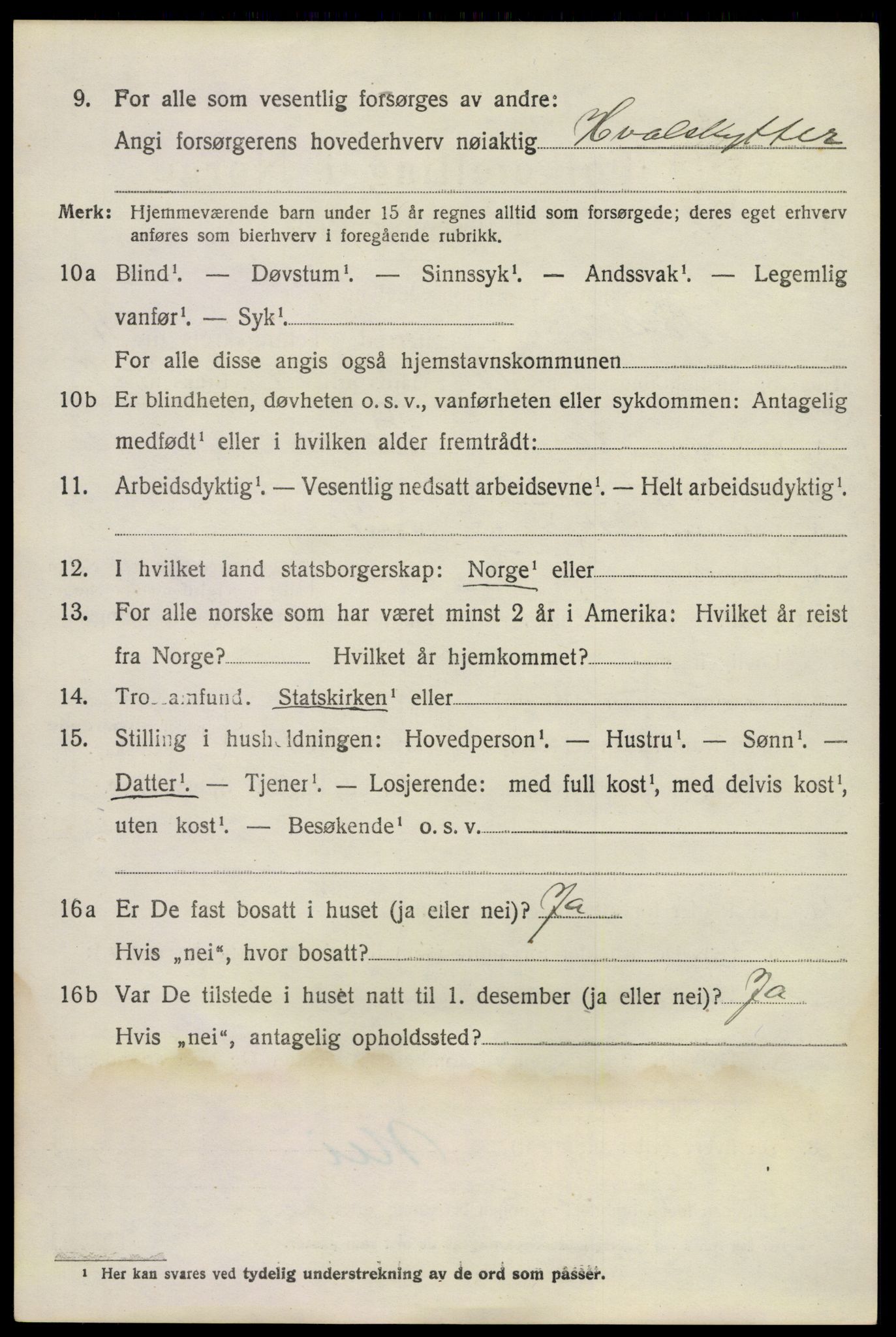 SAKO, 1920 census for Nøtterøy, 1920, p. 13724