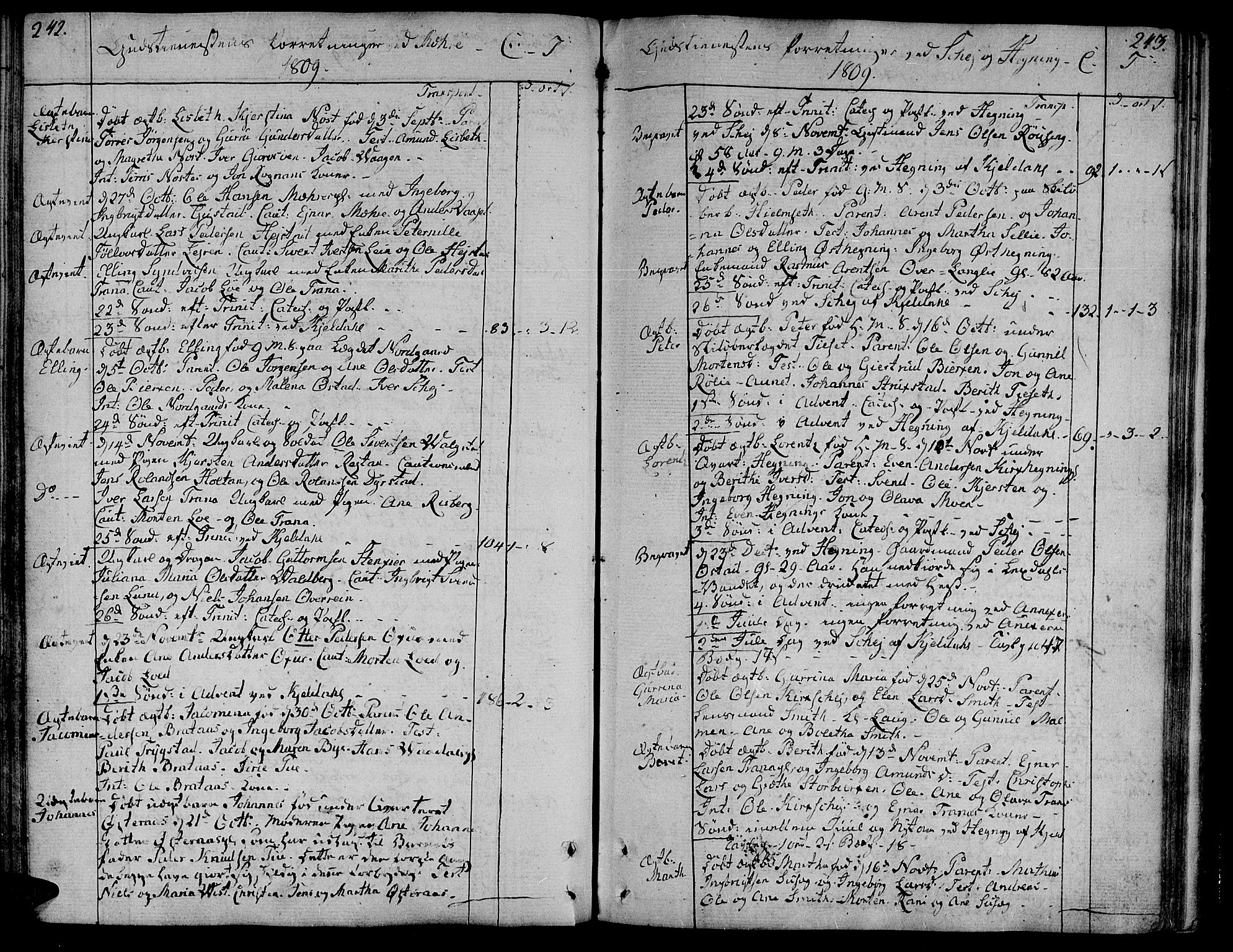 Ministerialprotokoller, klokkerbøker og fødselsregistre - Nord-Trøndelag, SAT/A-1458/735/L0332: Parish register (official) no. 735A03, 1795-1816, p. 242-243