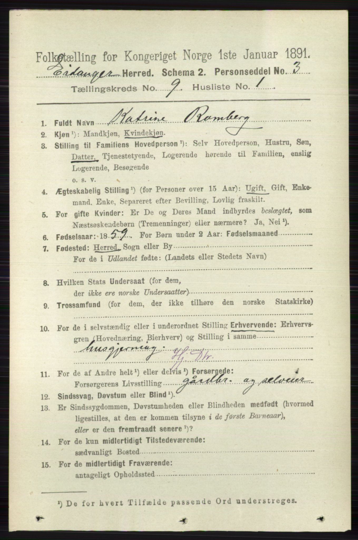 RA, 1891 census for 0813 Eidanger, 1891, p. 3617