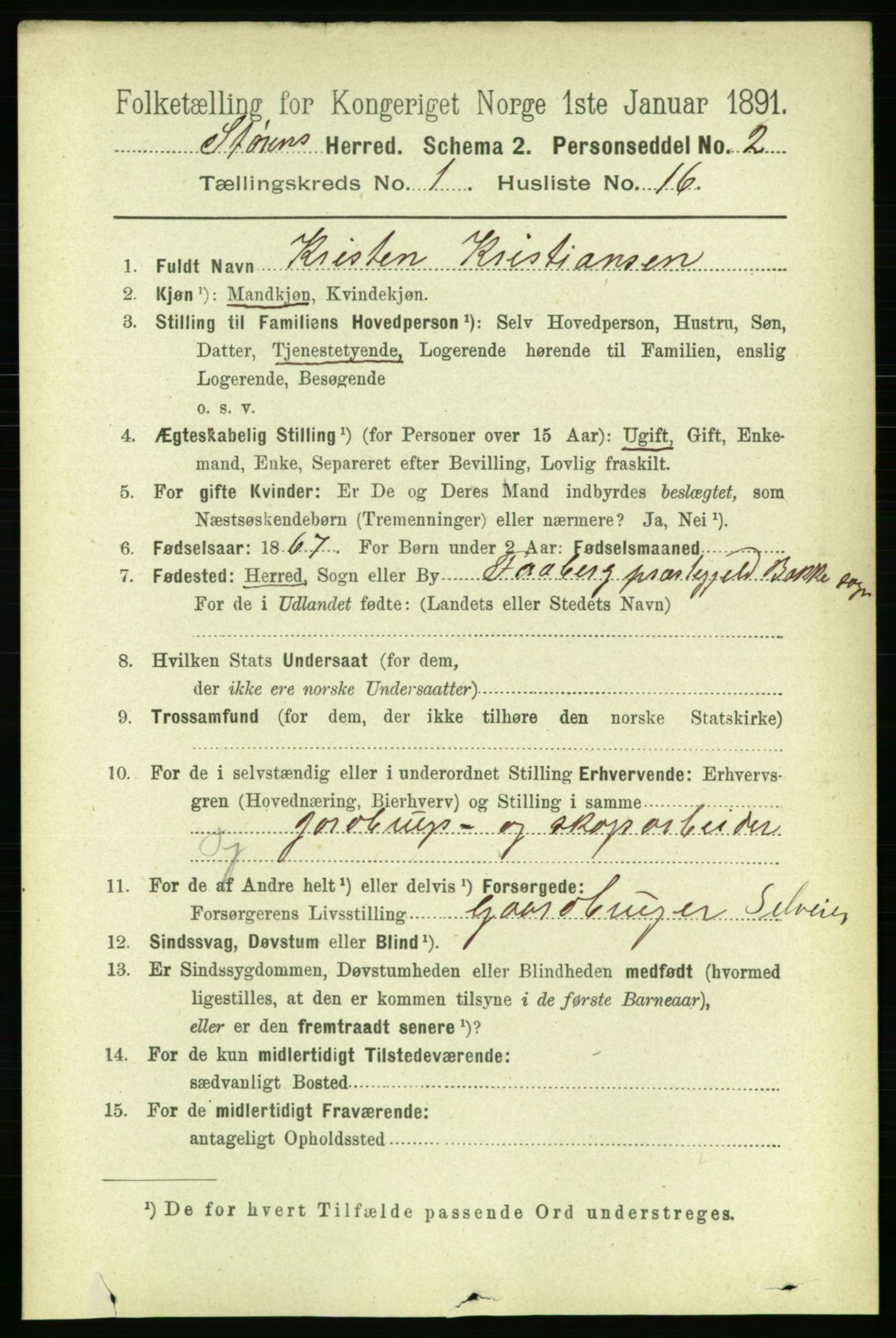 RA, 1891 census for 1648 Støren, 1891, p. 158