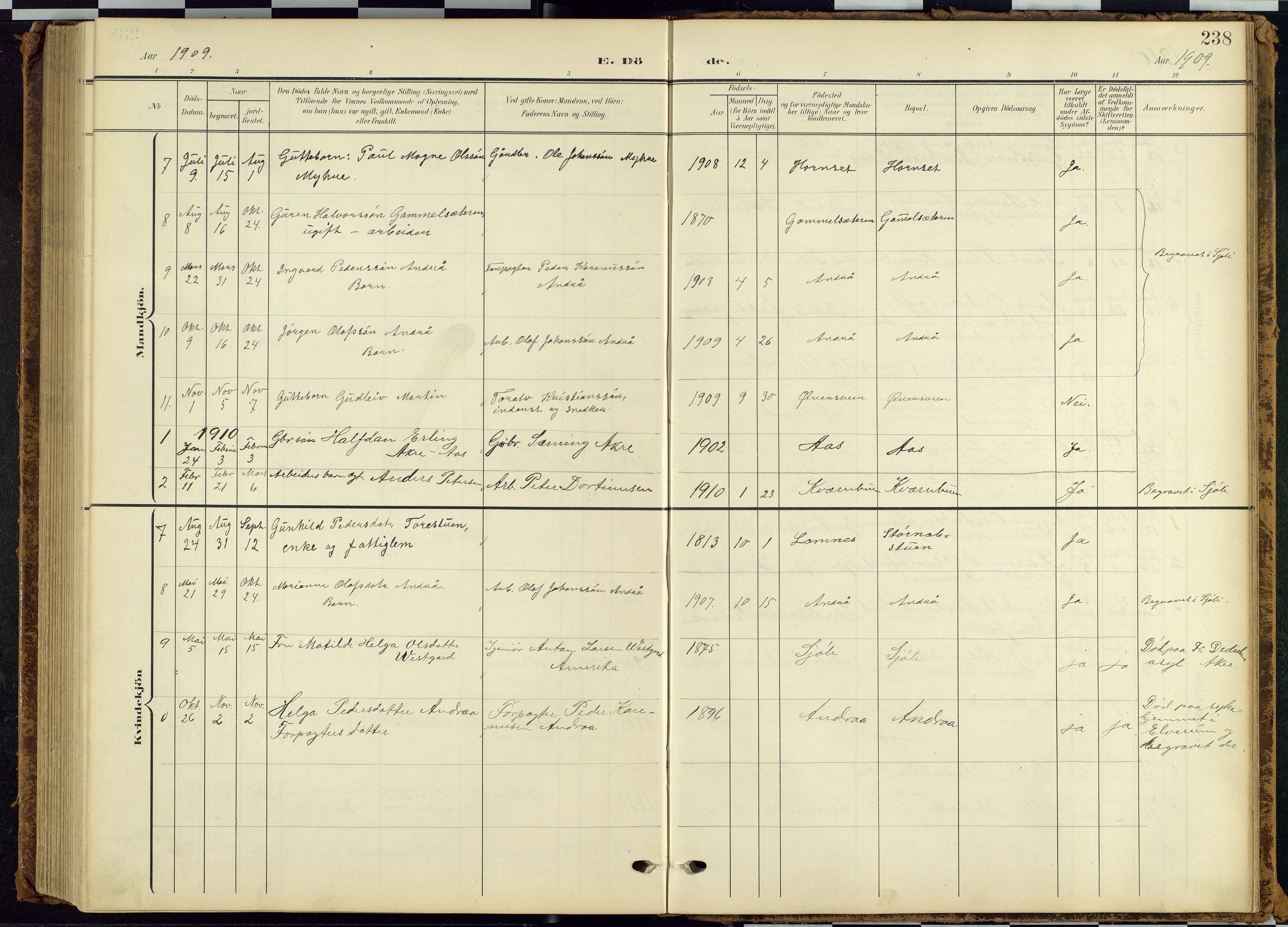 Rendalen prestekontor, SAH/PREST-054/H/Ha/Hab/L0010: Parish register (copy) no. 10, 1903-1940, p. 238