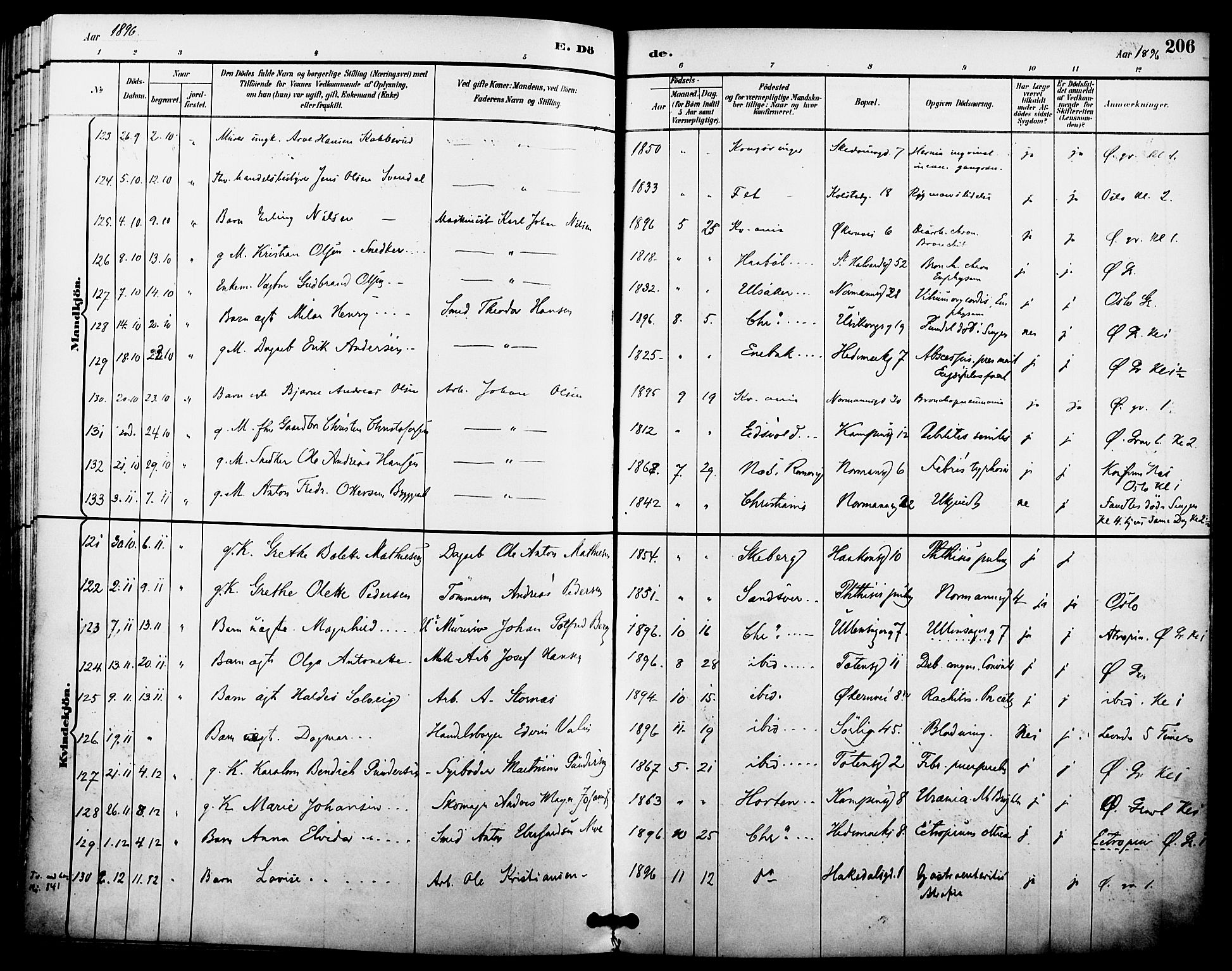 Kampen prestekontor Kirkebøker, AV/SAO-A-10853/F/Fa/L0008: Parish register (official) no. I 8, 1892-1902, p. 206