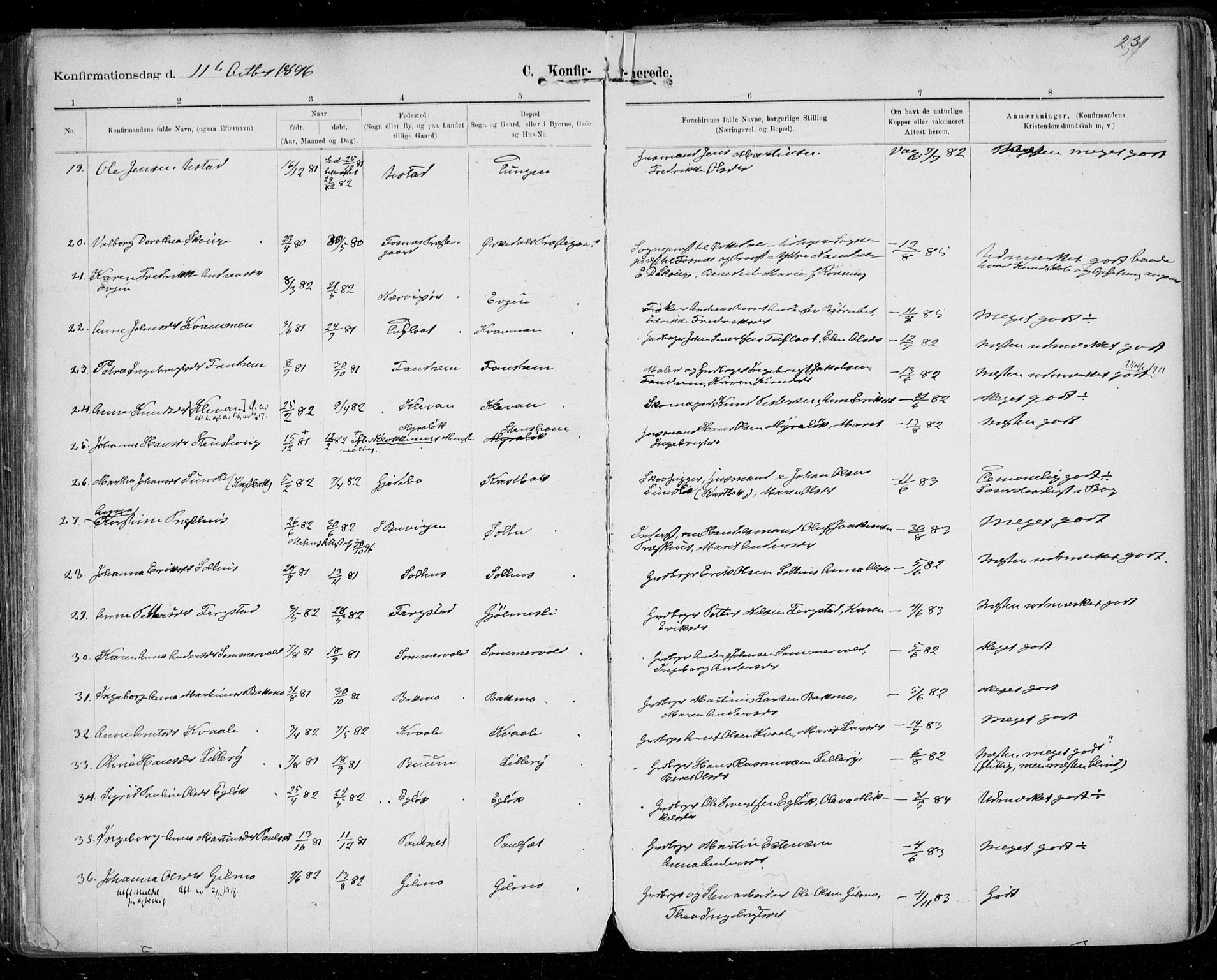 Ministerialprotokoller, klokkerbøker og fødselsregistre - Sør-Trøndelag, SAT/A-1456/668/L0811: Parish register (official) no. 668A11, 1894-1913, p. 231