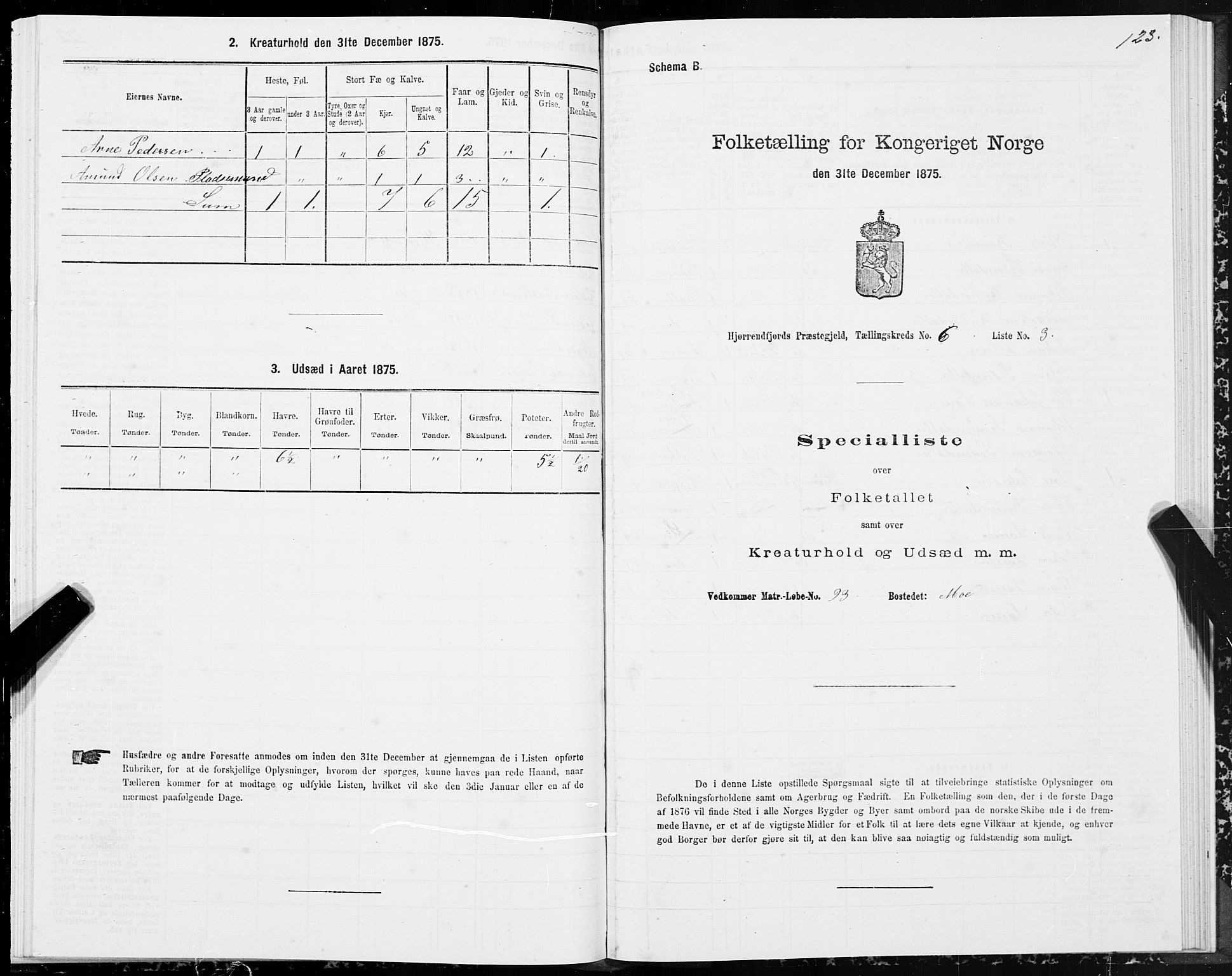 SAT, 1875 census for 1522P Hjørundfjord, 1875, p. 2123