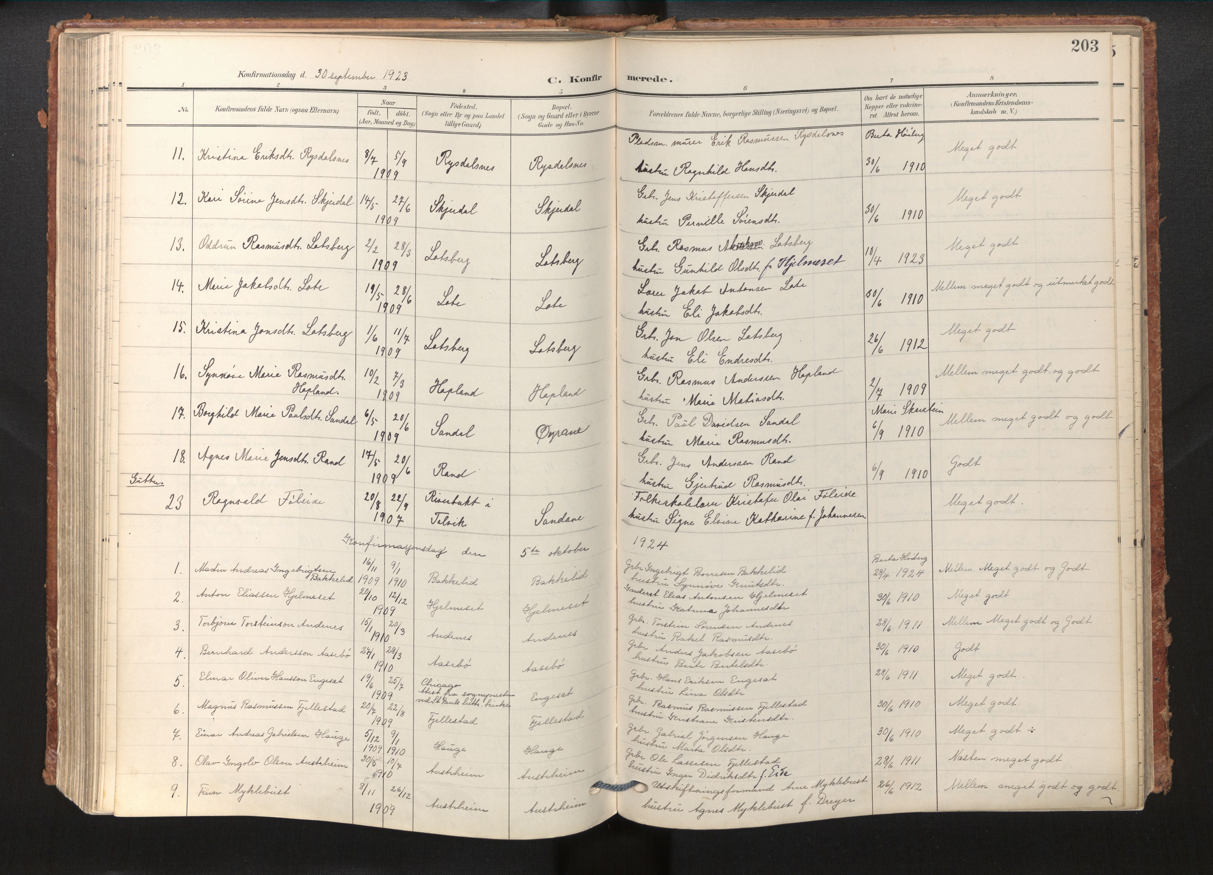 Gloppen sokneprestembete, SAB/A-80101/H/Haa/Haab/L0002: Parish register (official) no. B 2, 1906-1932, p. 202b-203a