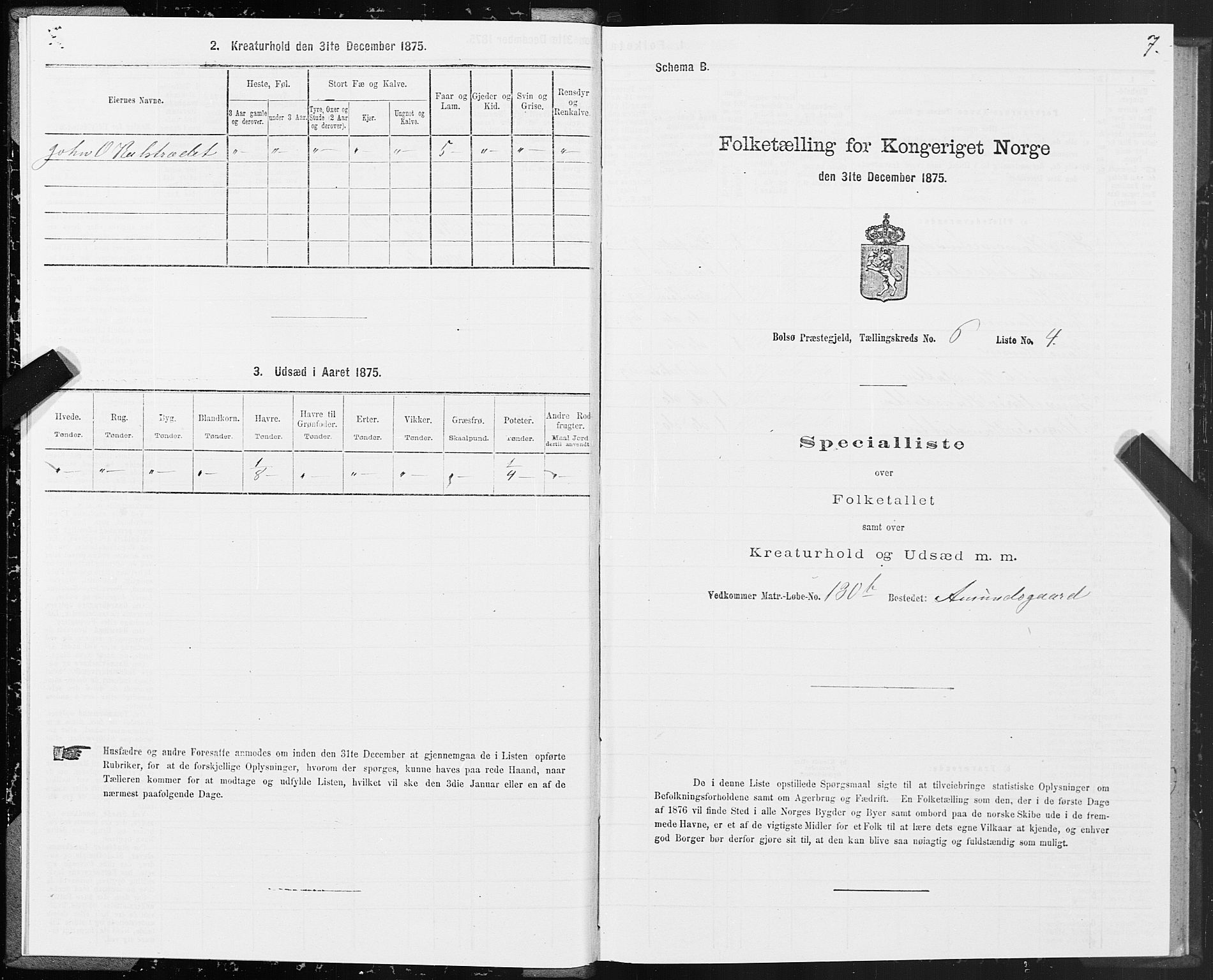 SAT, 1875 census for 1544P Bolsøy, 1875, p. 4007