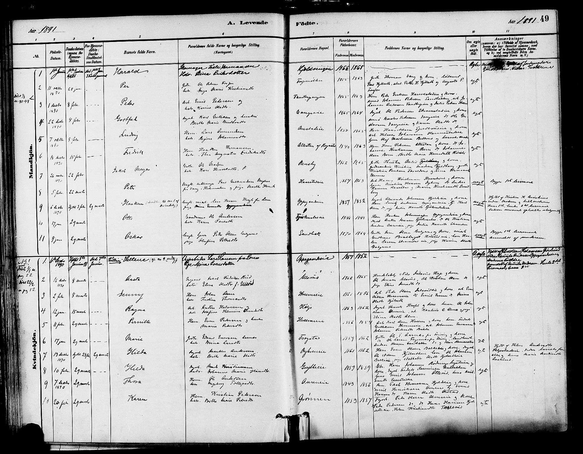 Østre Toten prestekontor, SAH/PREST-104/H/Ha/Haa/L0007: Parish register (official) no. 7, 1881-1896, p. 49