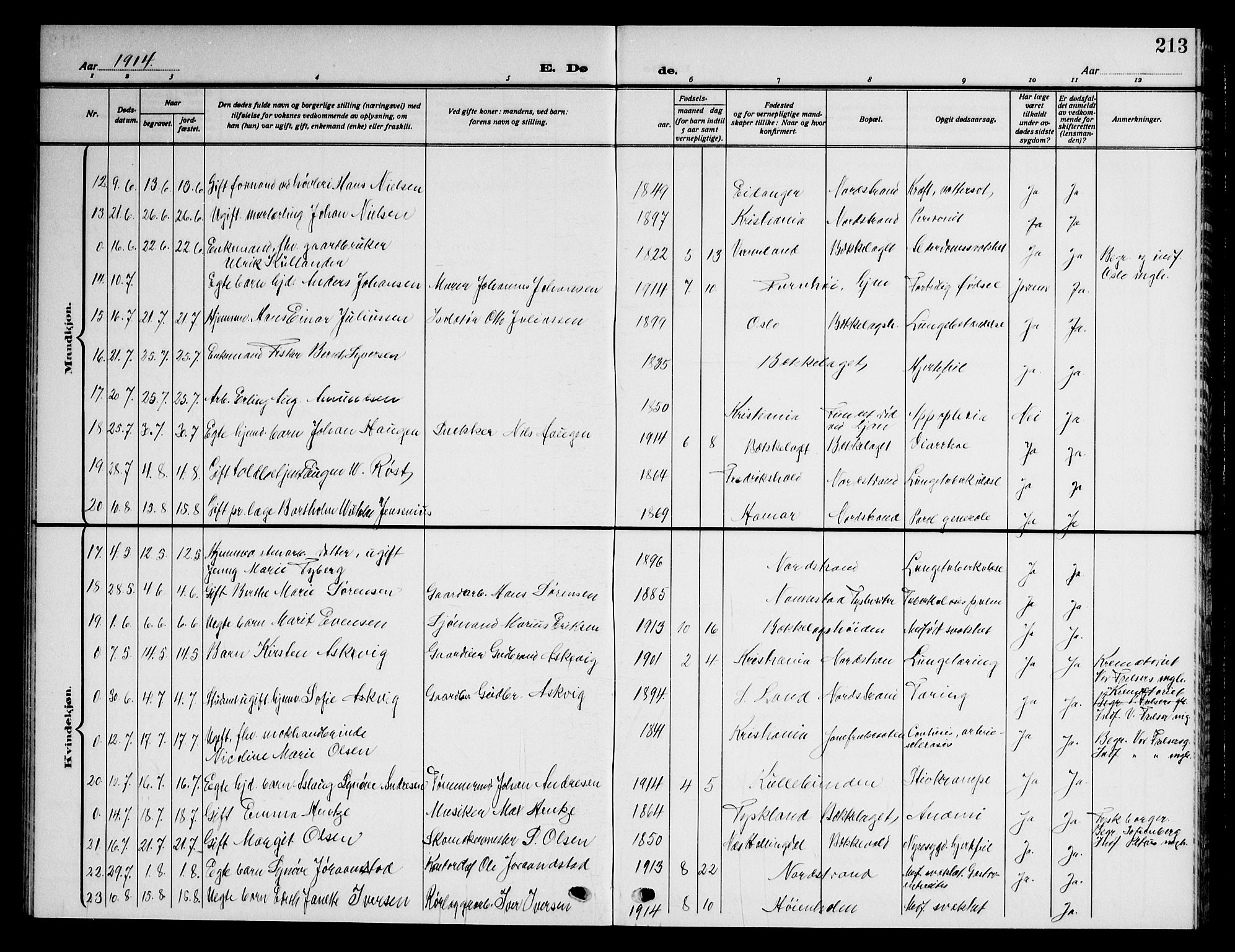 Nordstrand prestekontor Kirkebøker, AV/SAO-A-10362a/G/Ga/L0001: Parish register (copy) no. I 1, 1911-1918, p. 213