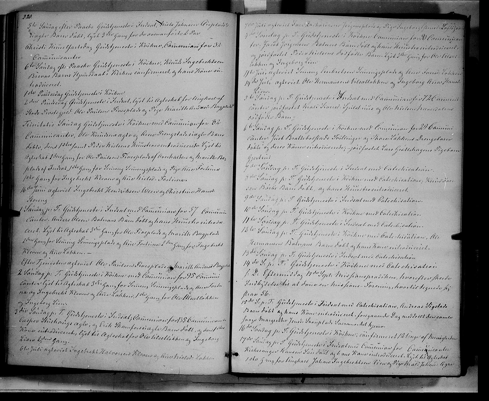 Kvikne prestekontor, AV/SAH-PREST-064/H/Ha/Haa/L0005: Parish register (official) no. 5, 1841-1862, p. 220