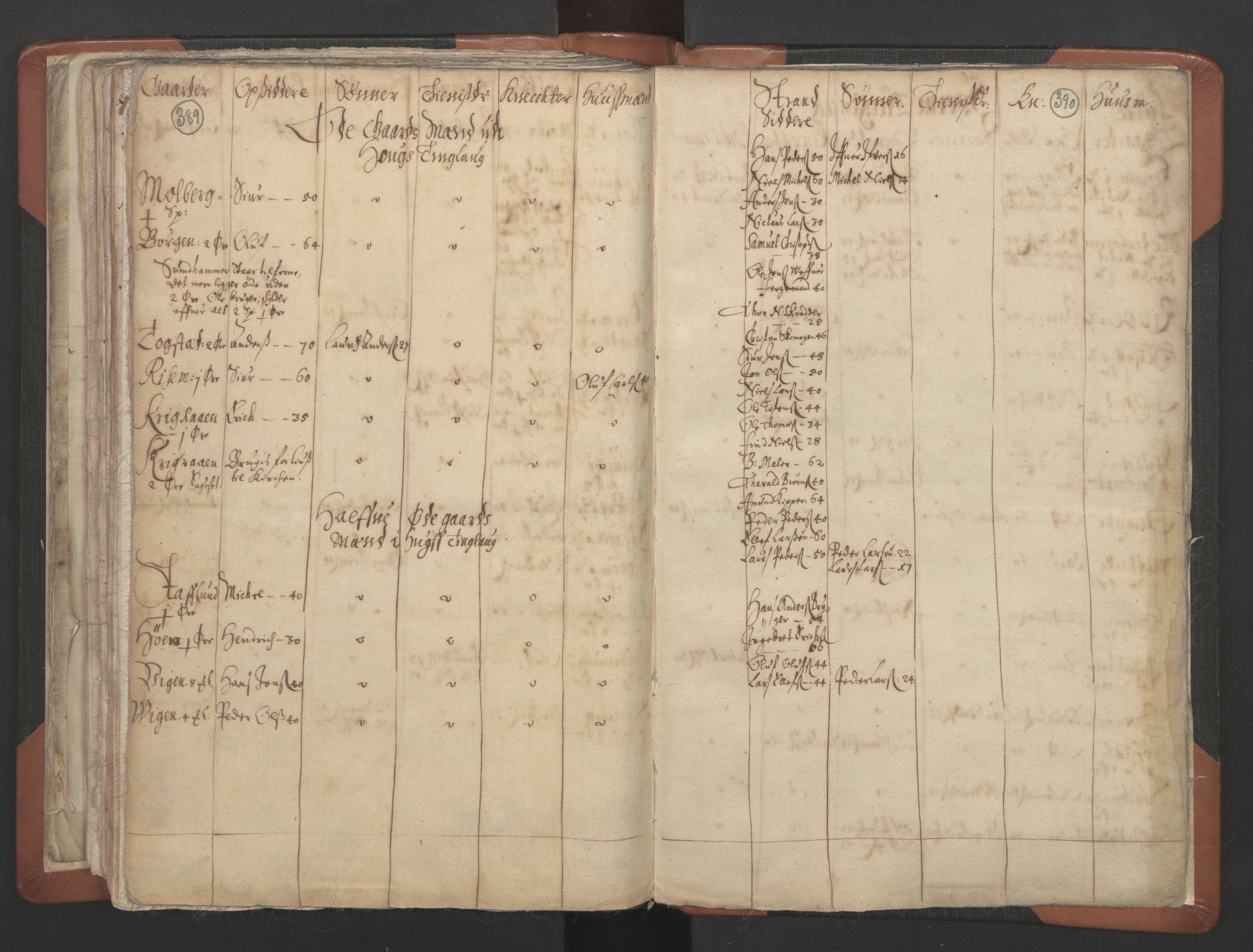 RA, Vicar's Census 1664-1666, no. 32: Innherad deanery, 1664-1666, p. 389-390