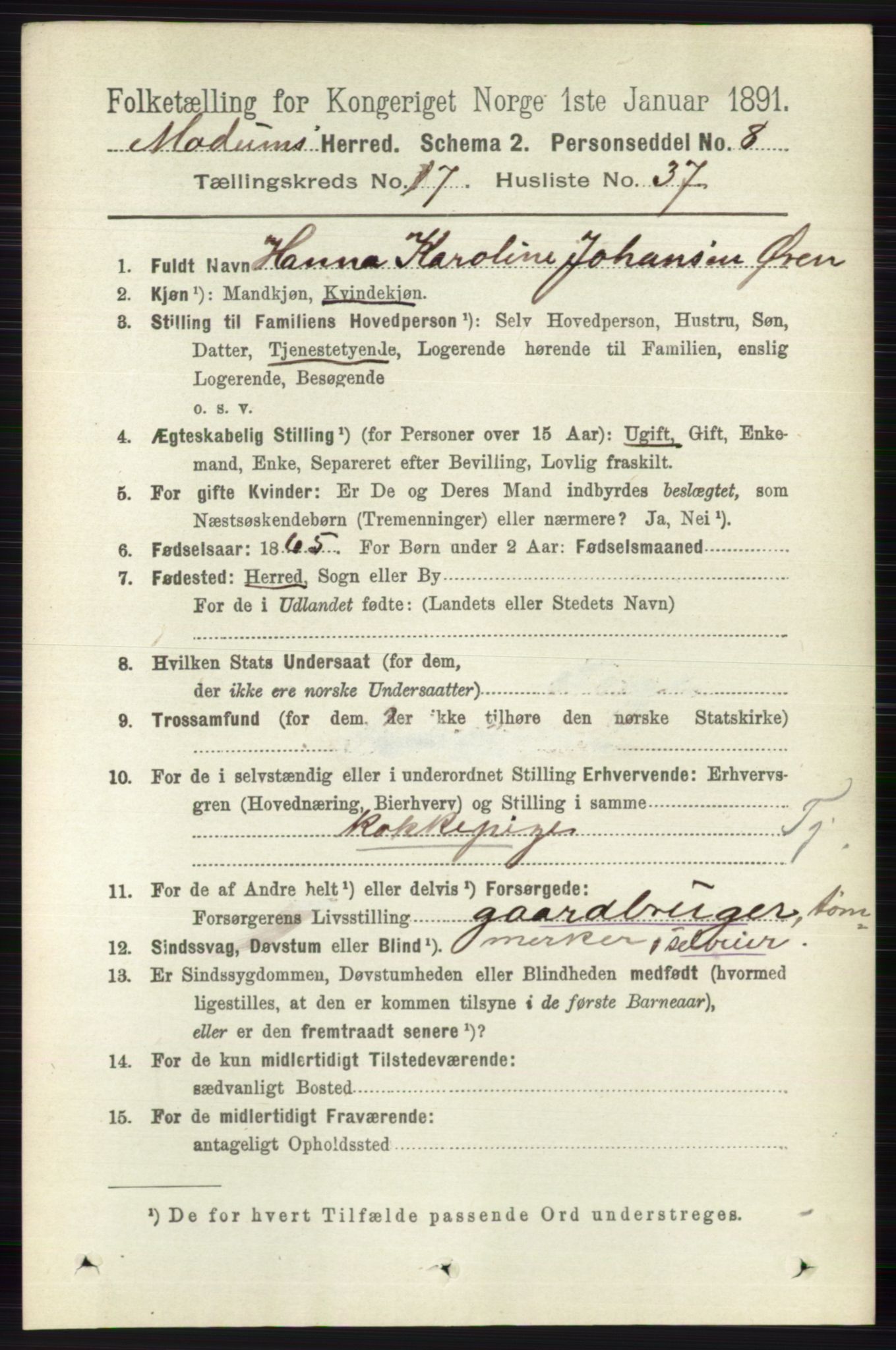 RA, 1891 census for 0623 Modum, 1891, p. 6825