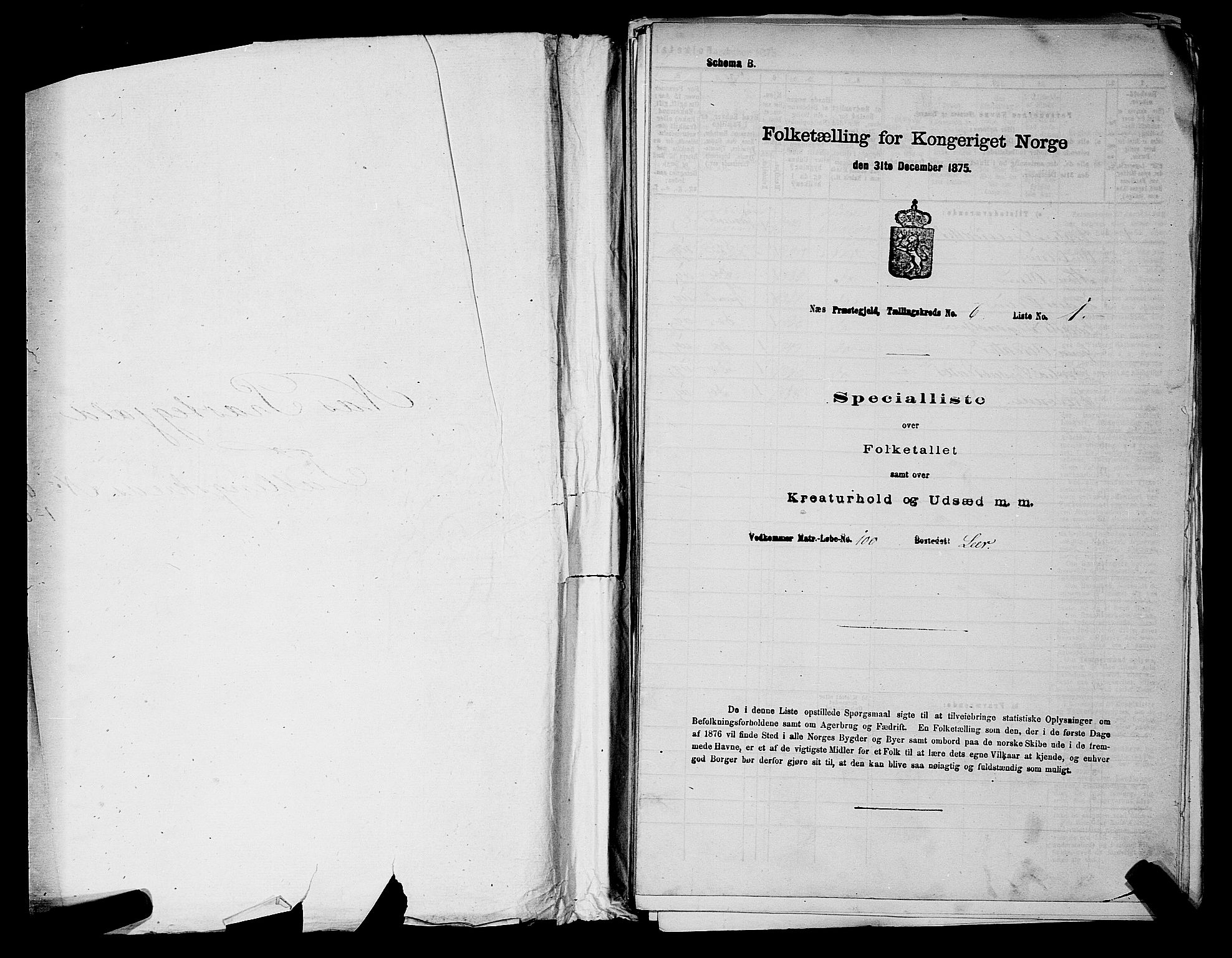 RA, 1875 census for 0236P Nes, 1875, p. 885