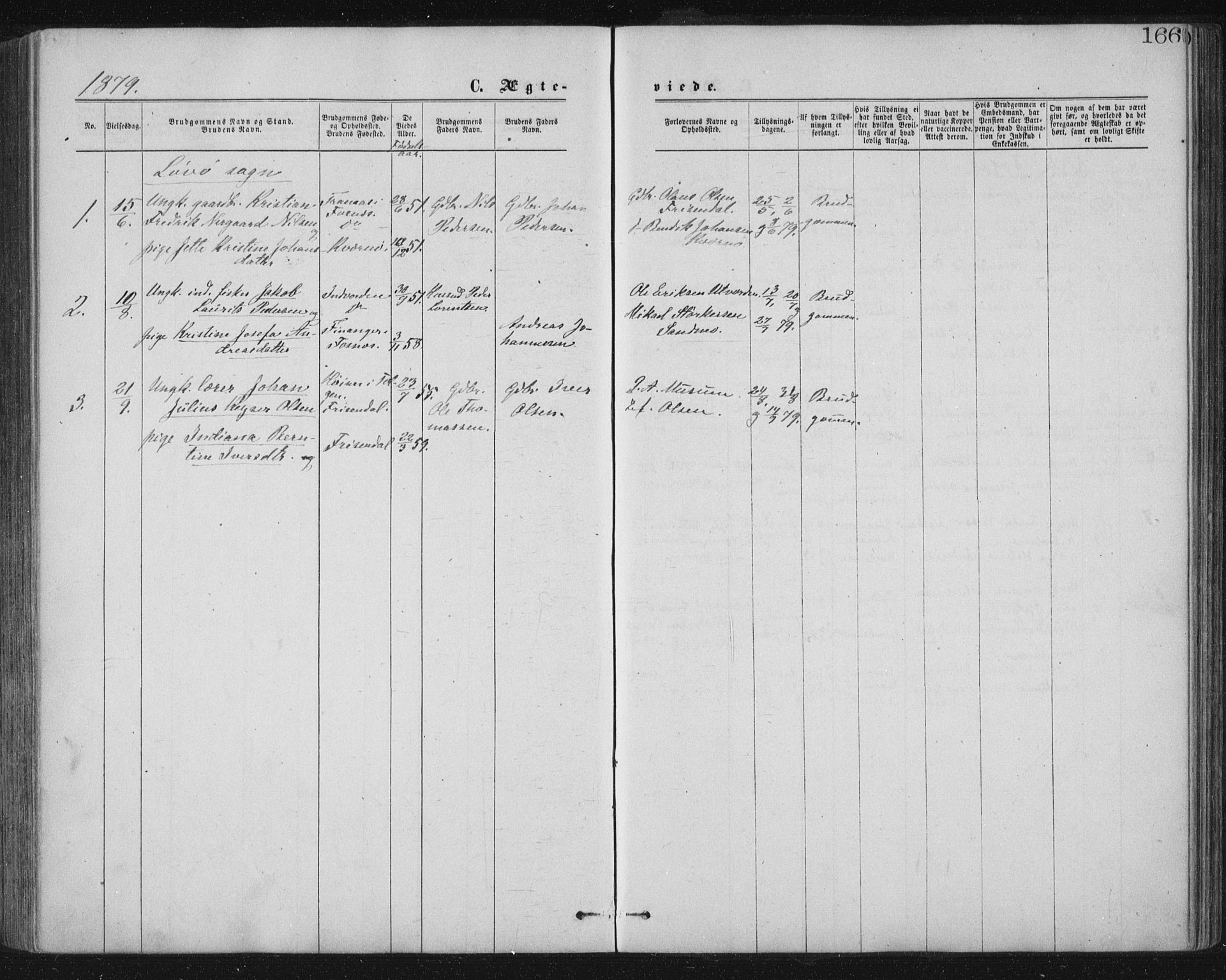 Ministerialprotokoller, klokkerbøker og fødselsregistre - Nord-Trøndelag, SAT/A-1458/771/L0596: Parish register (official) no. 771A03, 1870-1884, p. 166