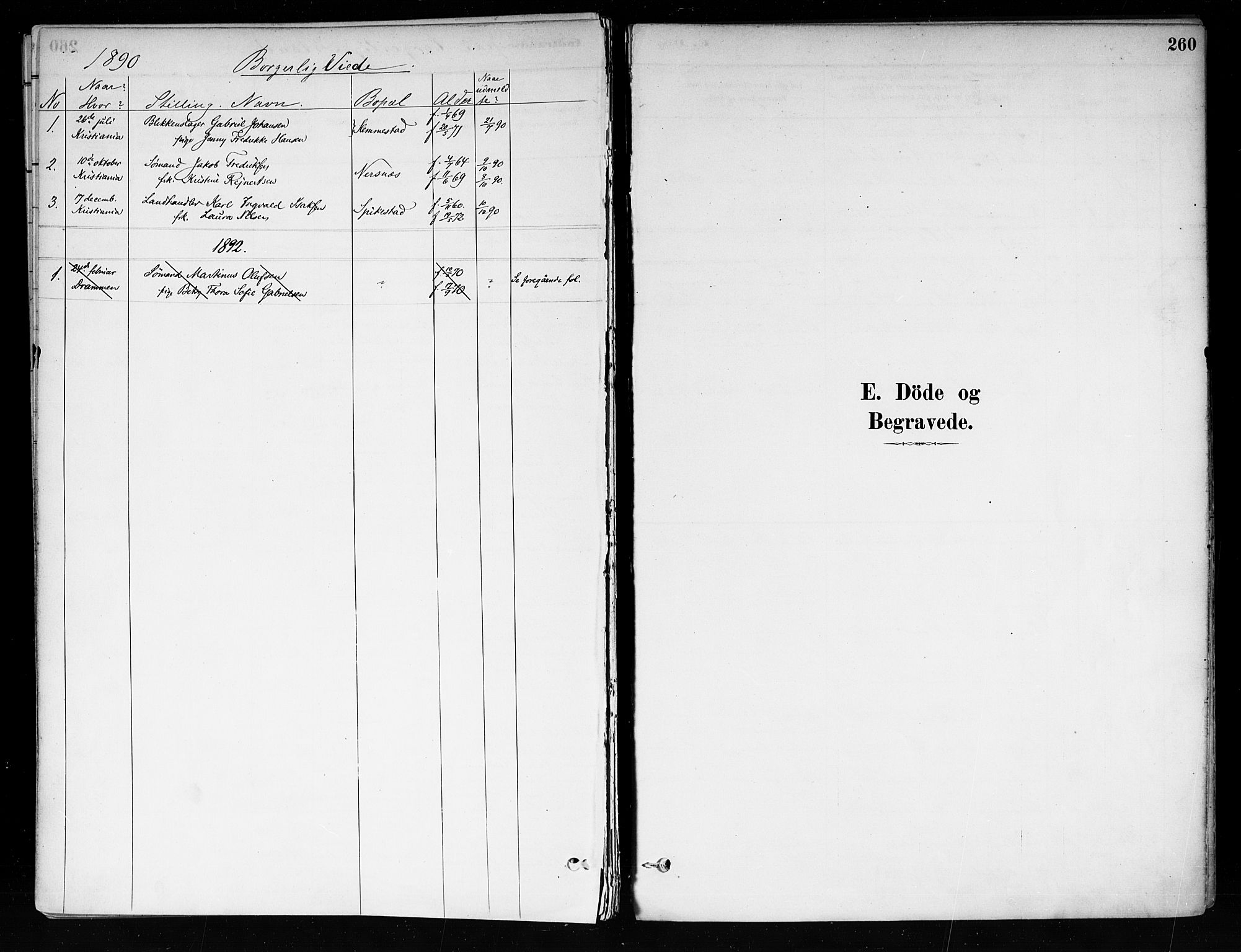 Røyken kirkebøker, SAKO/A-241/F/Fa/L0008: Parish register (official) no. 8, 1880-1897, p. 260