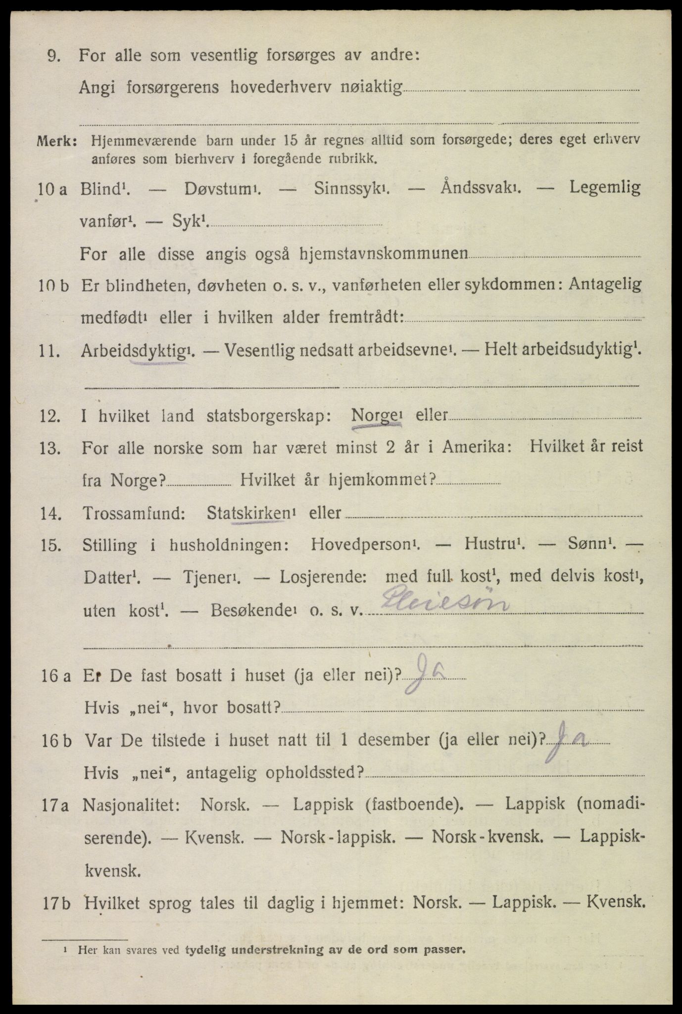 SAT, 1920 census for Bø, 1920, p. 8247