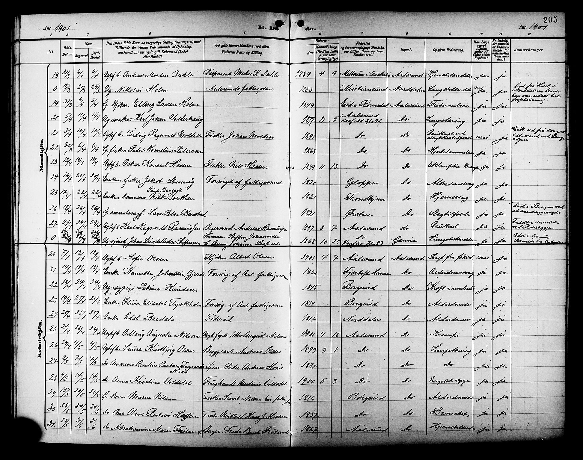 Ministerialprotokoller, klokkerbøker og fødselsregistre - Møre og Romsdal, AV/SAT-A-1454/529/L0469: Parish register (copy) no. 529C06, 1898-1906, p. 205