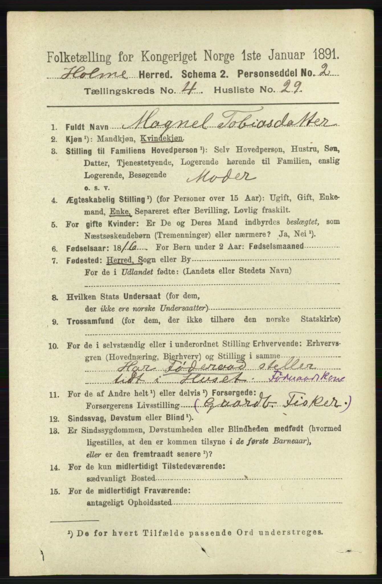 RA, 1891 census for 1020 Holum, 1891, p. 1171