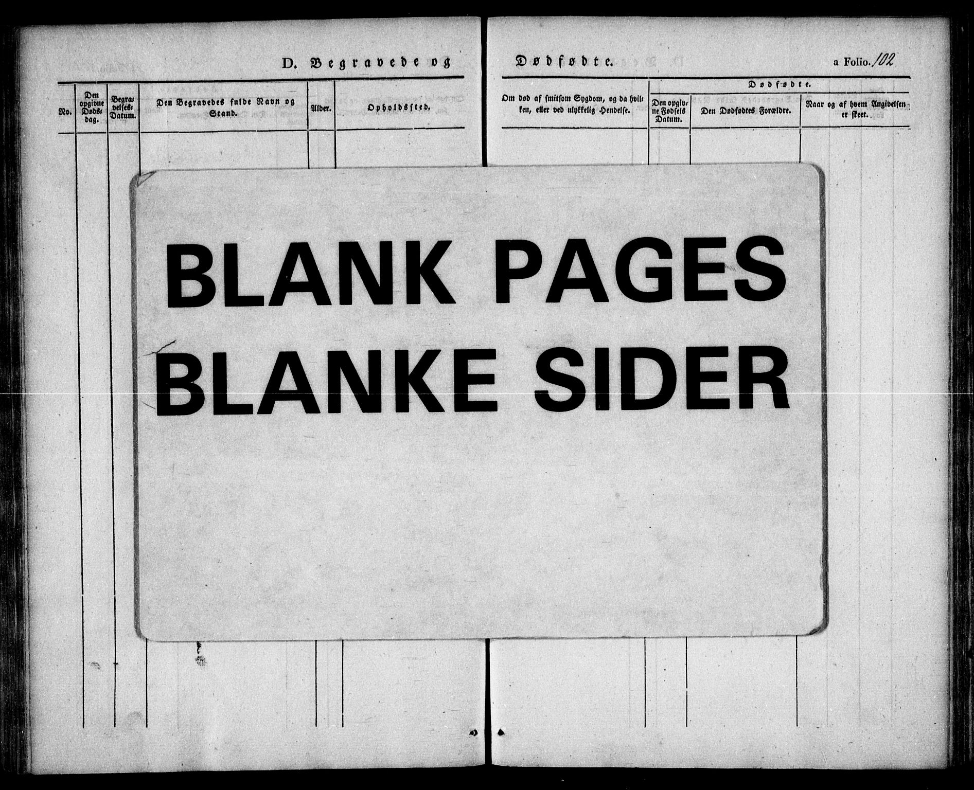 Austre Moland sokneprestkontor, SAK/1111-0001/F/Fa/Faa/L0006: Parish register (official) no. A 6, 1837-1846, p. 102