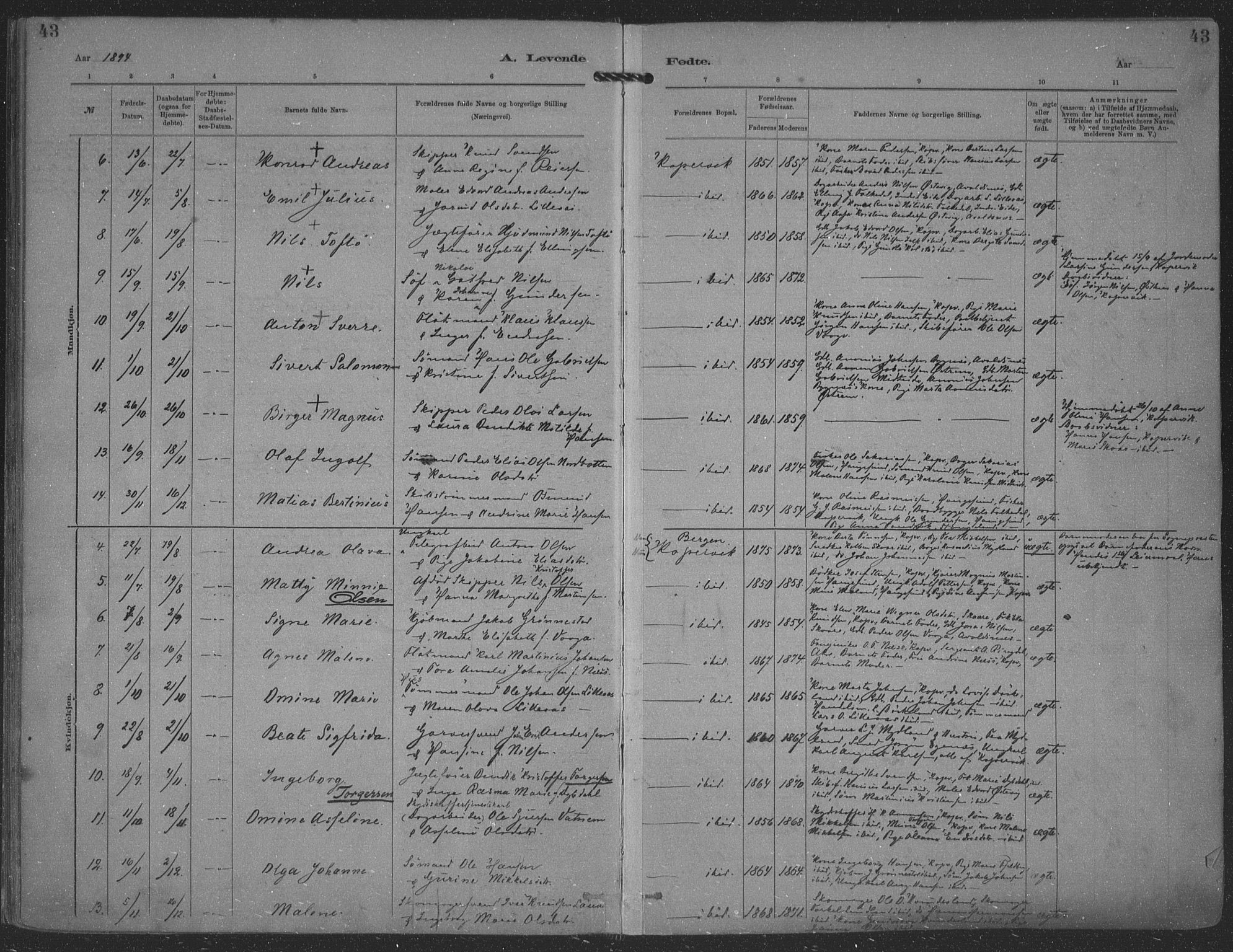 Kopervik sokneprestkontor, AV/SAST-A-101850/H/Ha/Haa/L0001: Parish register (official) no. A 1, 1880-1919, p. 43