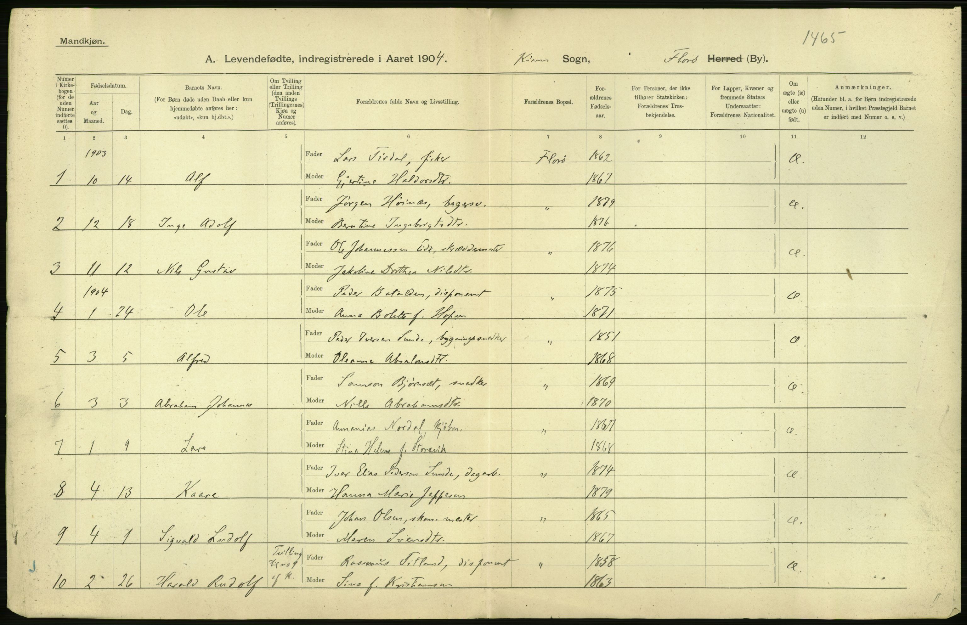 Statistisk sentralbyrå, Sosiodemografiske emner, Befolkning, AV/RA-S-2228/D/Df/Dfa/Dfab/L0024: Florø: Fødte, gifte, døde, 1904, p. 8