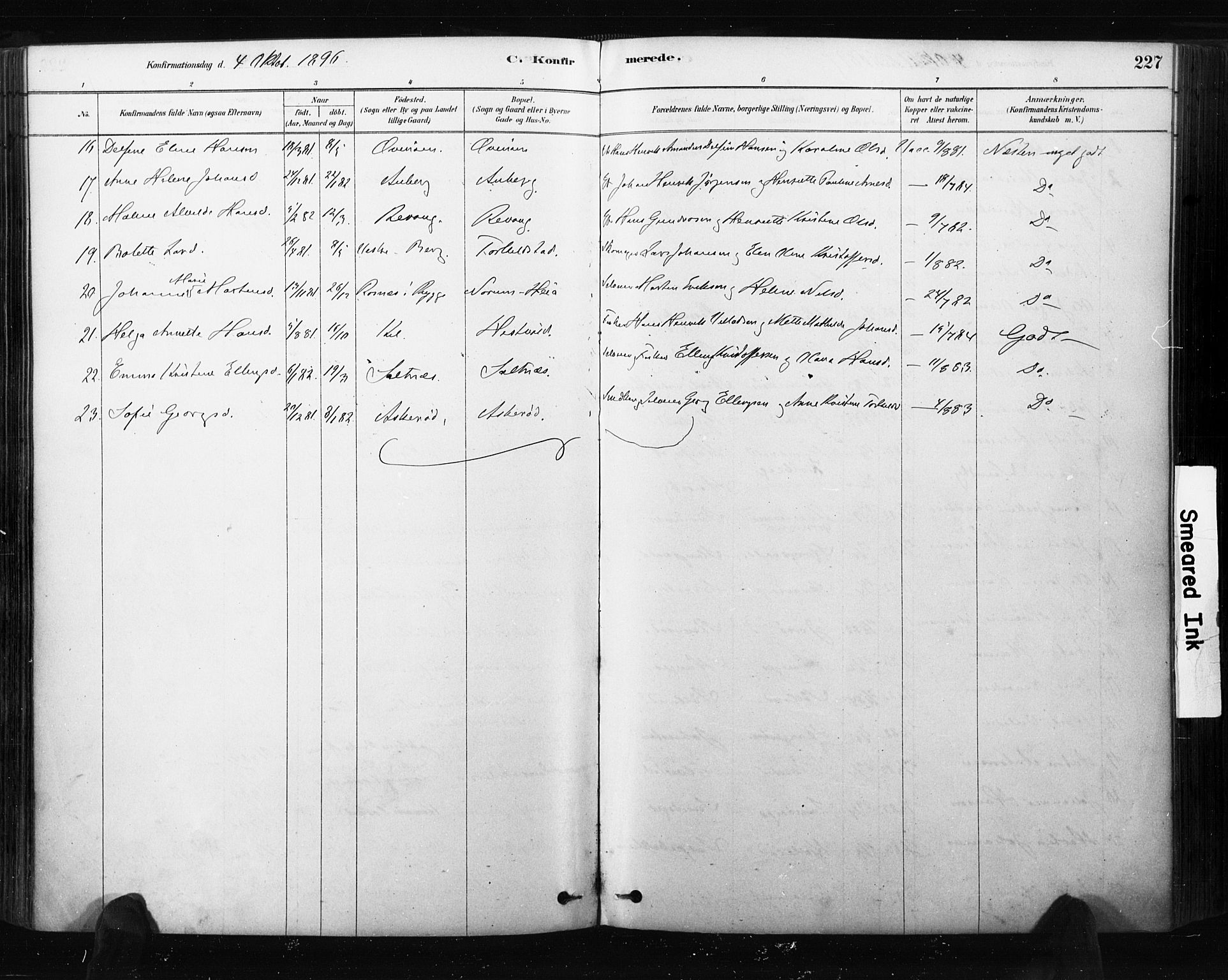 Råde prestekontor kirkebøker, AV/SAO-A-2009/F/Fa/L0007: Parish register (official) no. 7, 1878-1902, p. 227