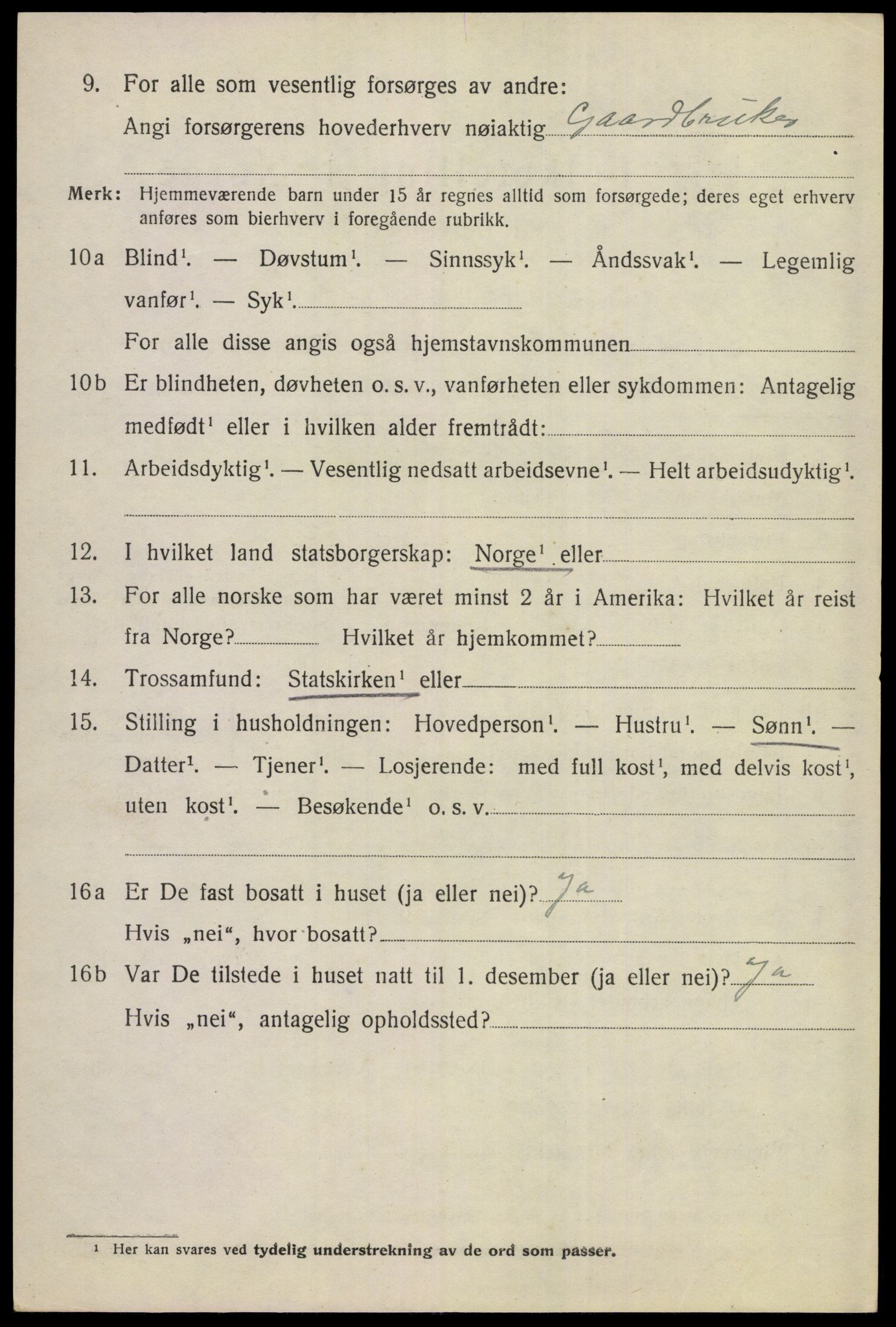 SAKO, 1920 census for Hemsedal, 1920, p. 2941