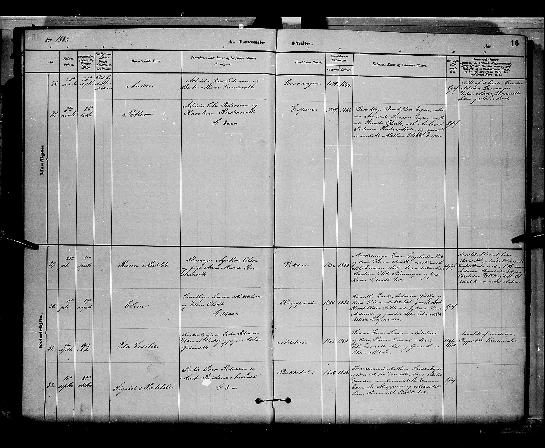 Stange prestekontor, AV/SAH-PREST-002/L/L0008: Parish register (copy) no. 8, 1882-1895, p. 16