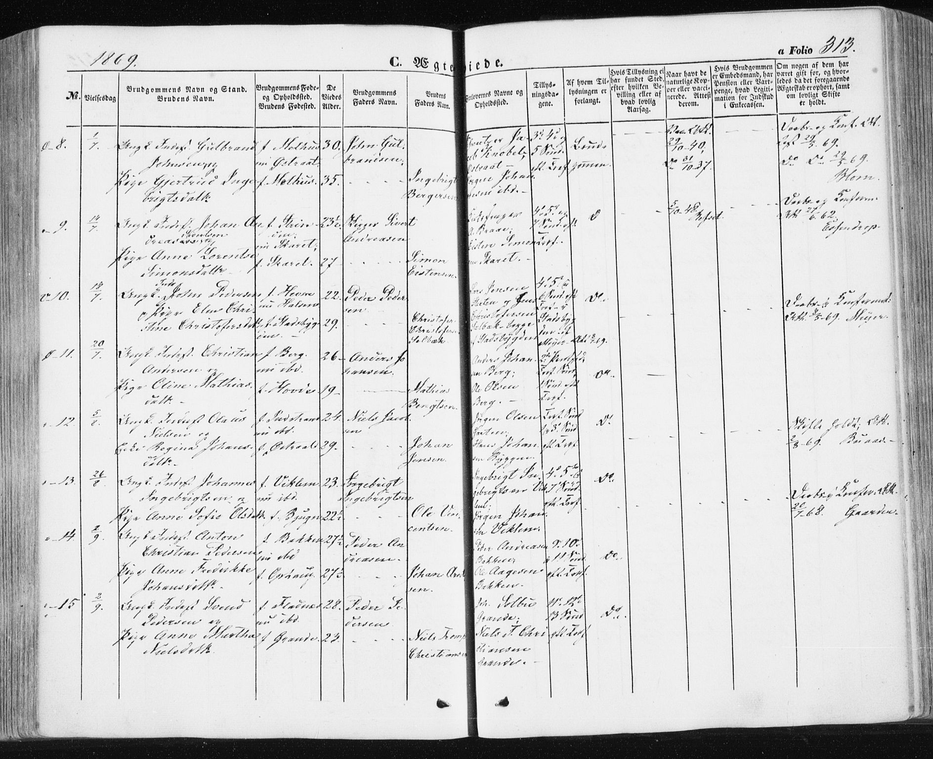 Ministerialprotokoller, klokkerbøker og fødselsregistre - Sør-Trøndelag, SAT/A-1456/659/L0737: Parish register (official) no. 659A07, 1857-1875, p. 313