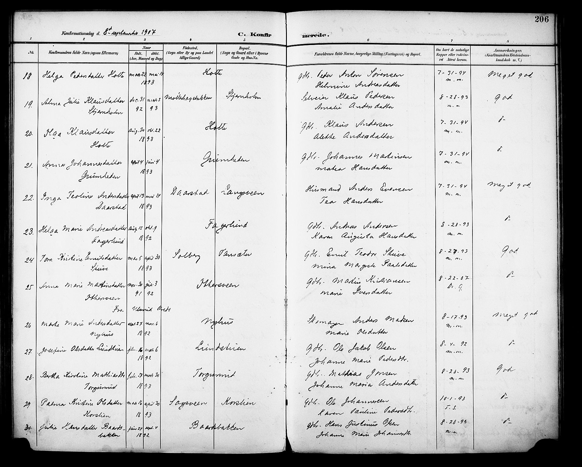 Vestre Toten prestekontor, SAH/PREST-108/H/Ha/Haa/L0013: Parish register (official) no. 13, 1895-1911, p. 206