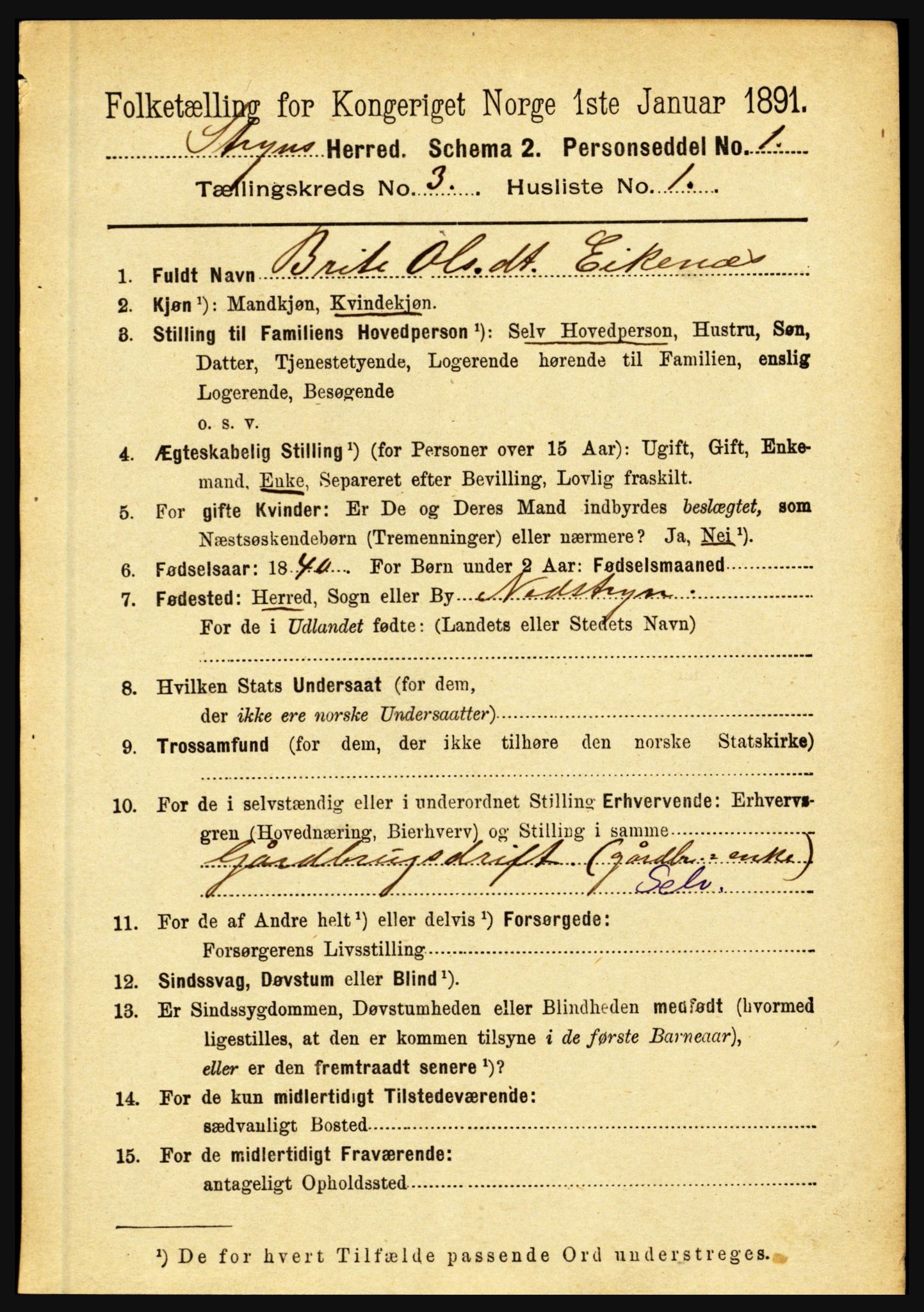 RA, 1891 census for 1448 Stryn, 1891, p. 1096