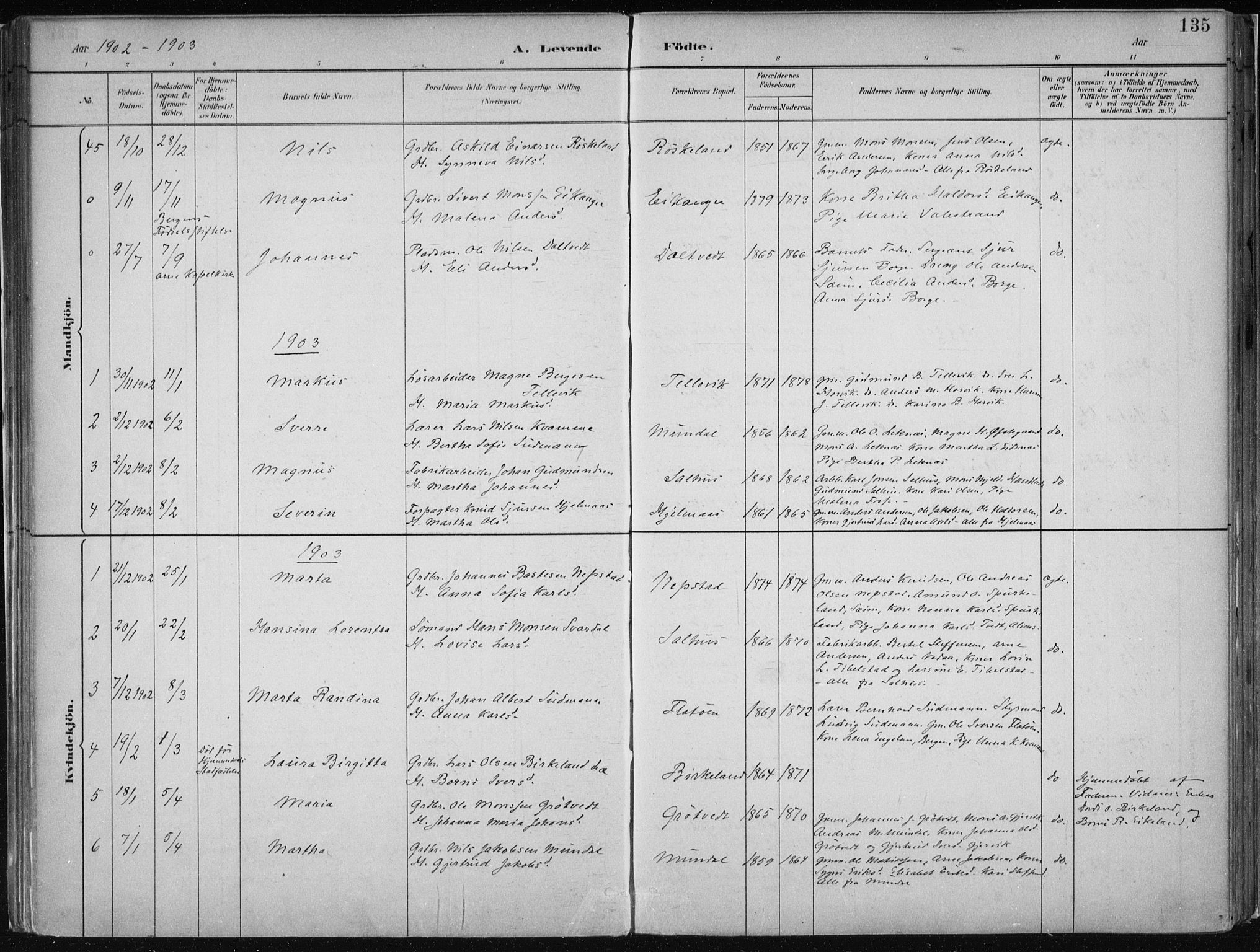 Hamre sokneprestembete, AV/SAB-A-75501/H/Ha/Haa/Haab/L0001: Parish register (official) no. B  1, 1882-1905, p. 135