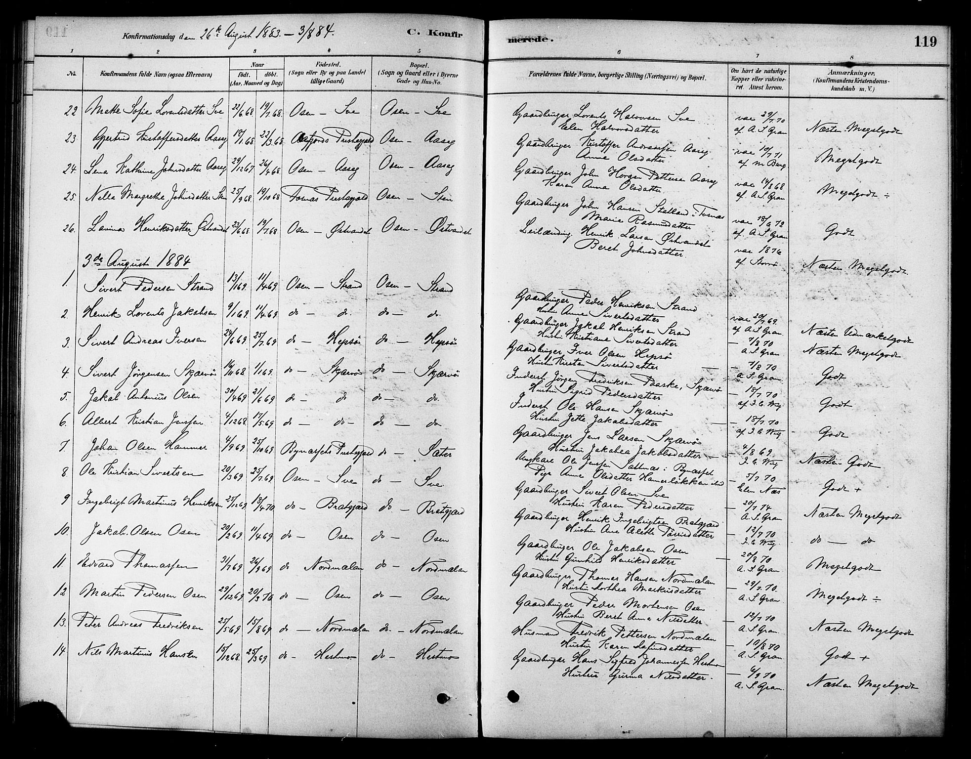 Ministerialprotokoller, klokkerbøker og fødselsregistre - Sør-Trøndelag, AV/SAT-A-1456/658/L0722: Parish register (official) no. 658A01, 1879-1896, p. 119