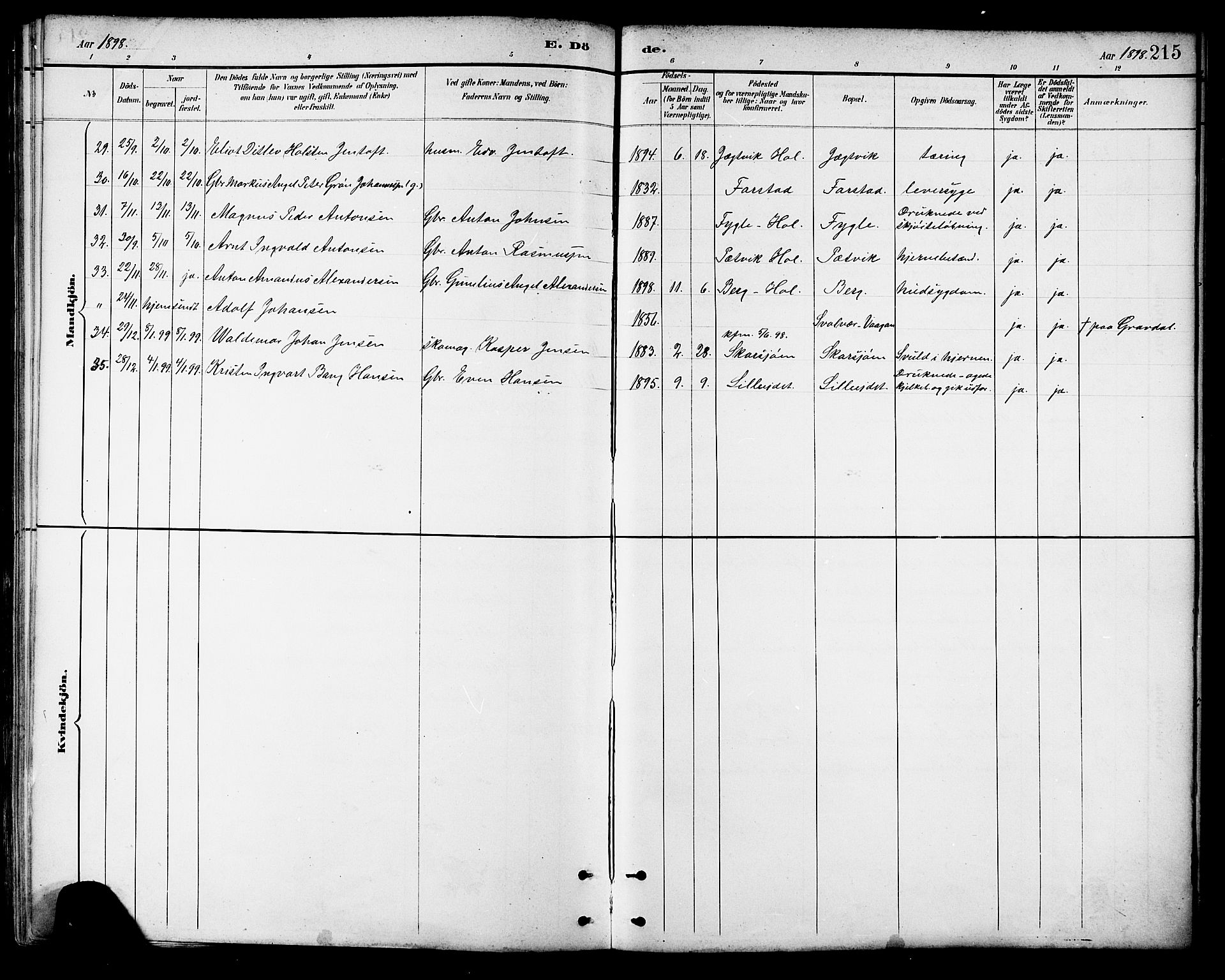 Ministerialprotokoller, klokkerbøker og fødselsregistre - Nordland, AV/SAT-A-1459/881/L1167: Parish register (copy) no. 881C04, 1886-1899, p. 215