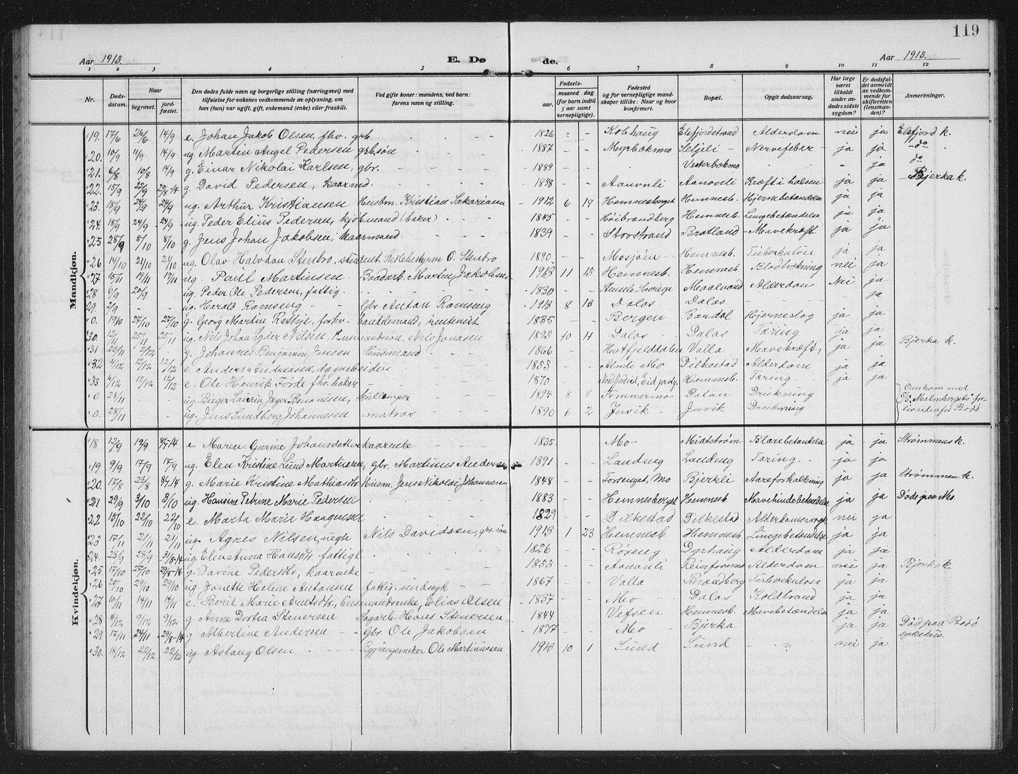 Ministerialprotokoller, klokkerbøker og fødselsregistre - Nordland, AV/SAT-A-1459/825/L0371: Parish register (copy) no. 825C08, 1907-1940, p. 119