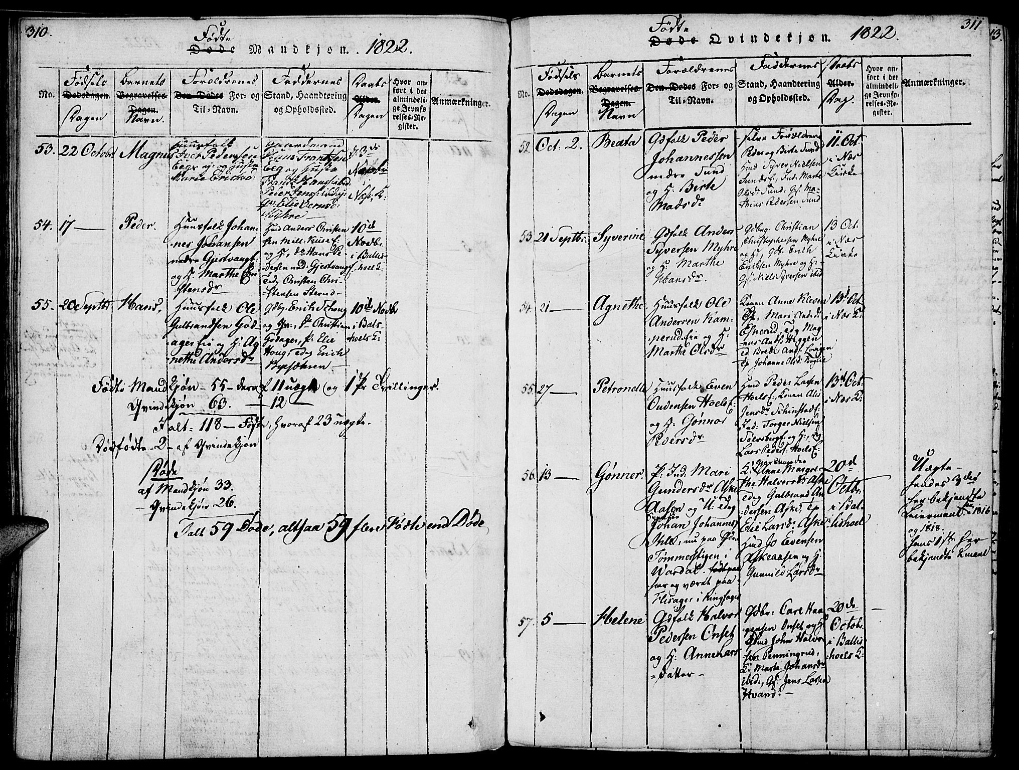 Nes prestekontor, Hedmark, AV/SAH-PREST-020/K/Ka/L0002: Parish register (official) no. 2, 1813-1827, p. 310-311