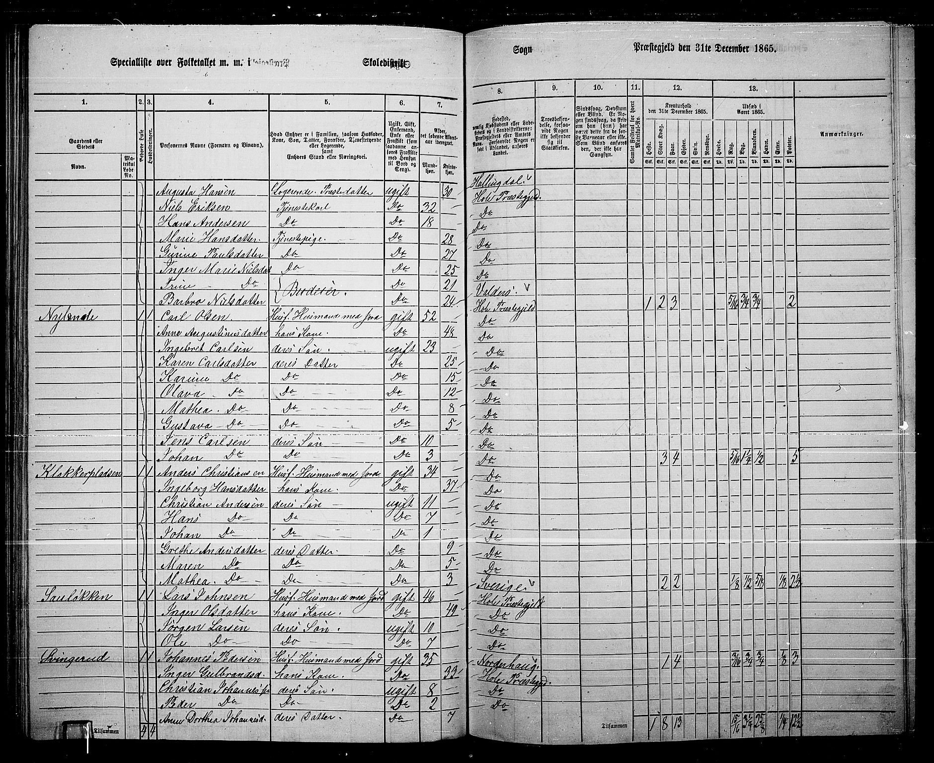 RA, 1865 census for Hole, 1865, p. 113