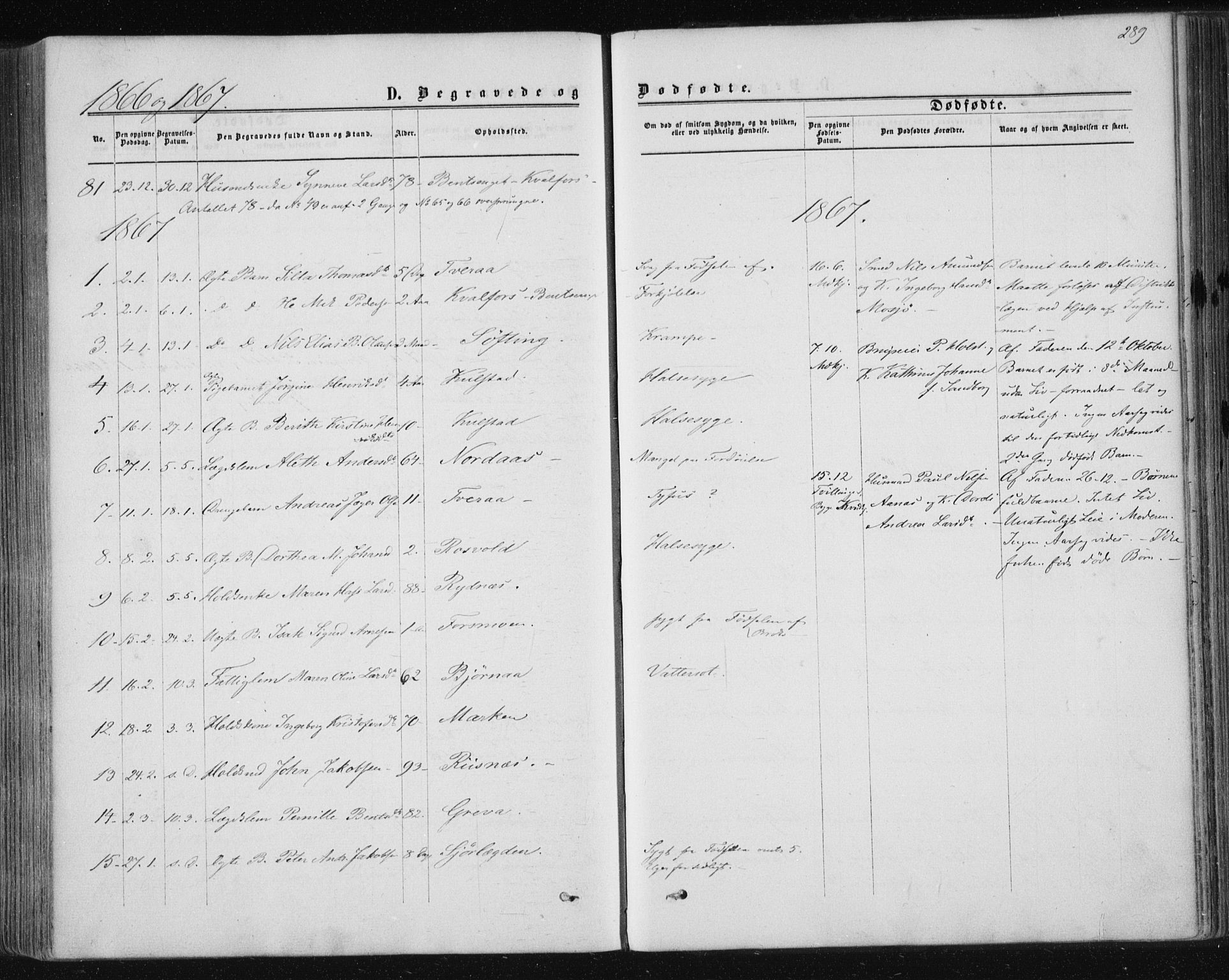 Ministerialprotokoller, klokkerbøker og fødselsregistre - Nordland, SAT/A-1459/820/L0294: Parish register (official) no. 820A15, 1866-1879, p. 289