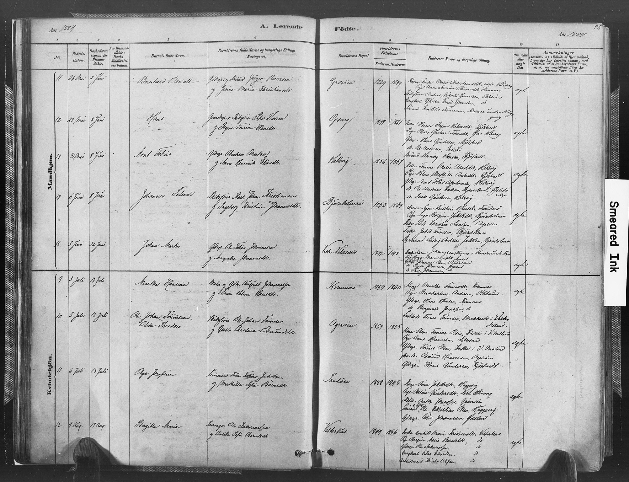 Høvåg sokneprestkontor, AV/SAK-1111-0025/F/Fa/L0005: Parish register (official) no. A 5, 1878-1893, p. 45