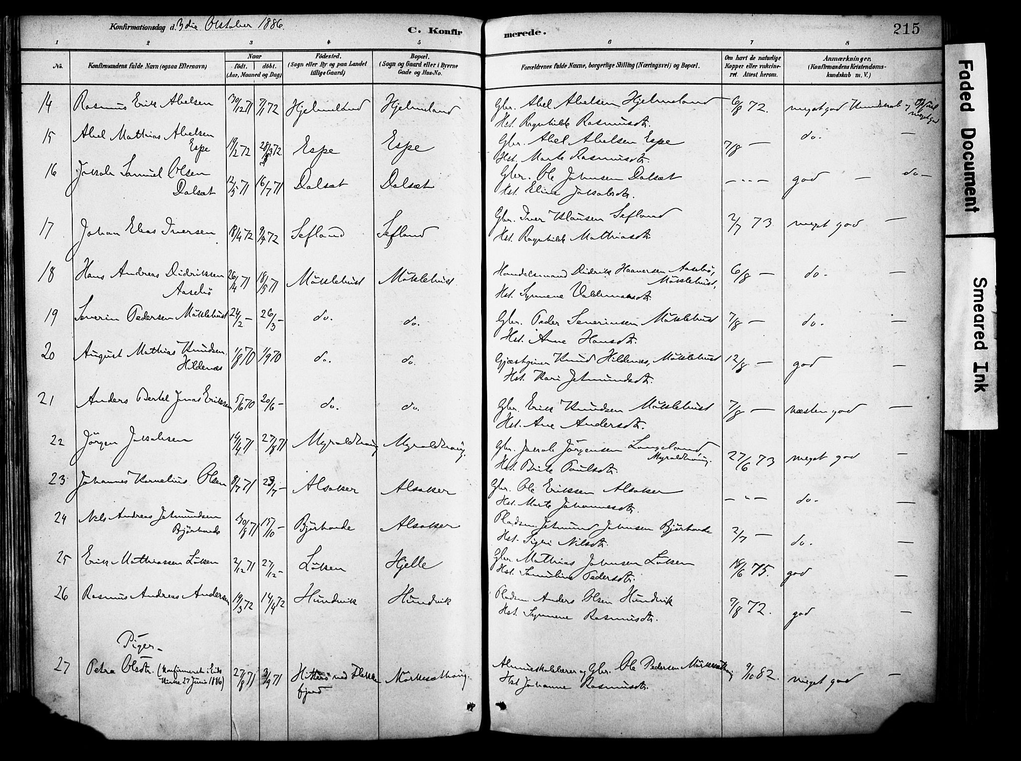 Eid sokneprestembete, AV/SAB-A-82301/H/Haa/Haab/L0001: Parish register (official) no. B 1, 1879-1906, p. 215