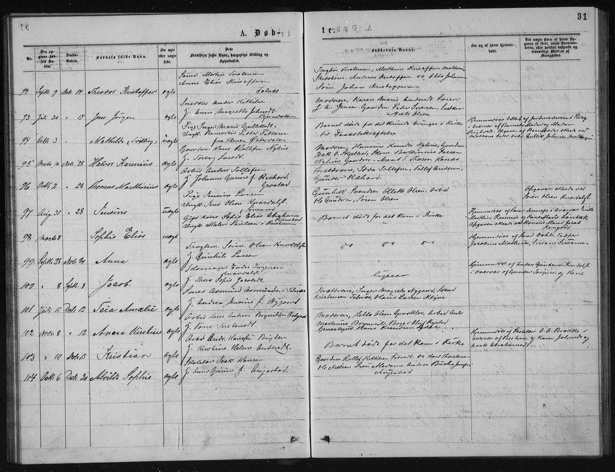 Solum kirkebøker, AV/SAKO-A-306/G/Ga/L0005: Parish register (copy) no. I 5, 1877-1881, p. 31