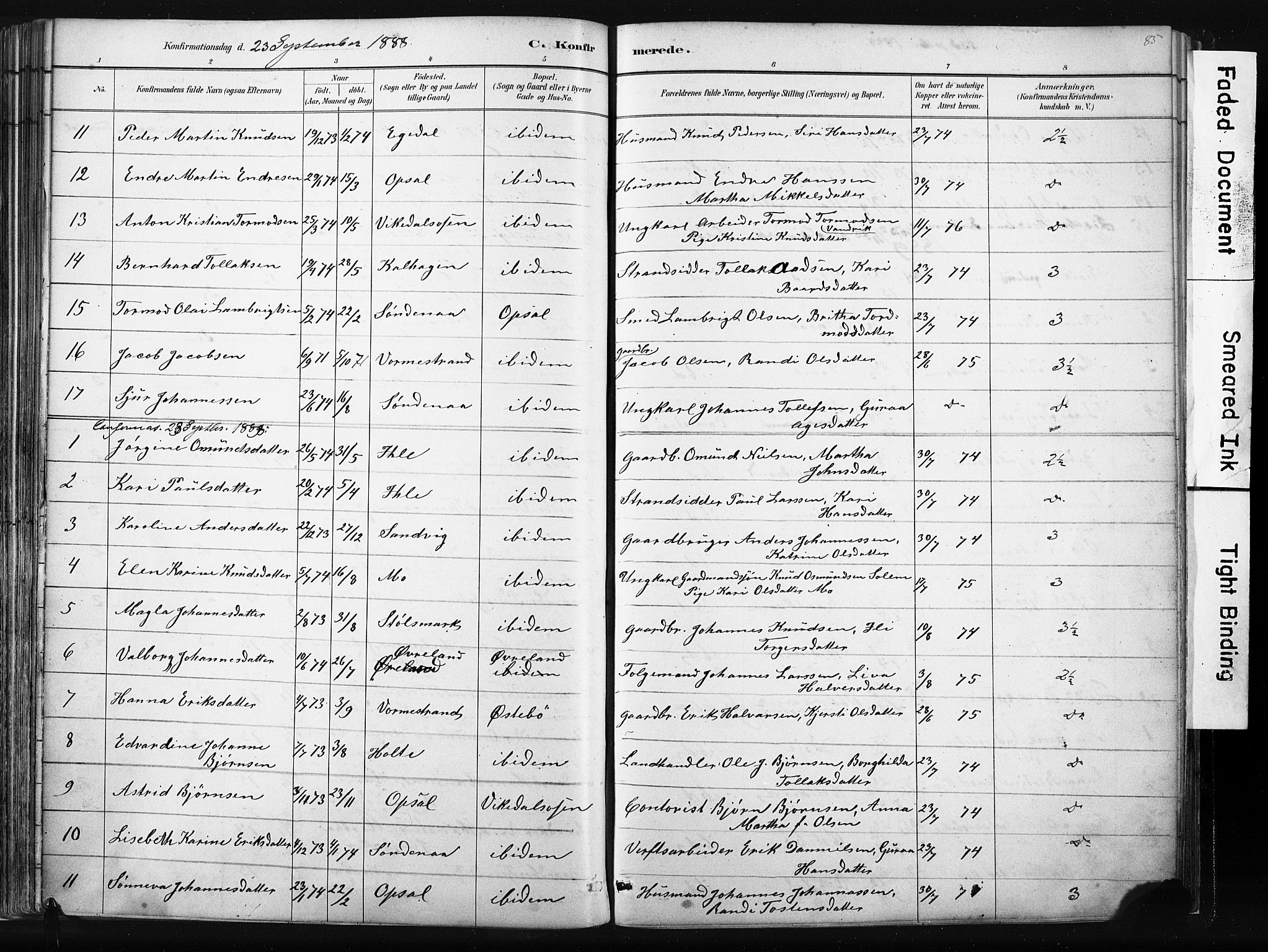 Vikedal sokneprestkontor, AV/SAST-A-101840/01/IV: Parish register (official) no. A 10, 1884-1907, p. 85