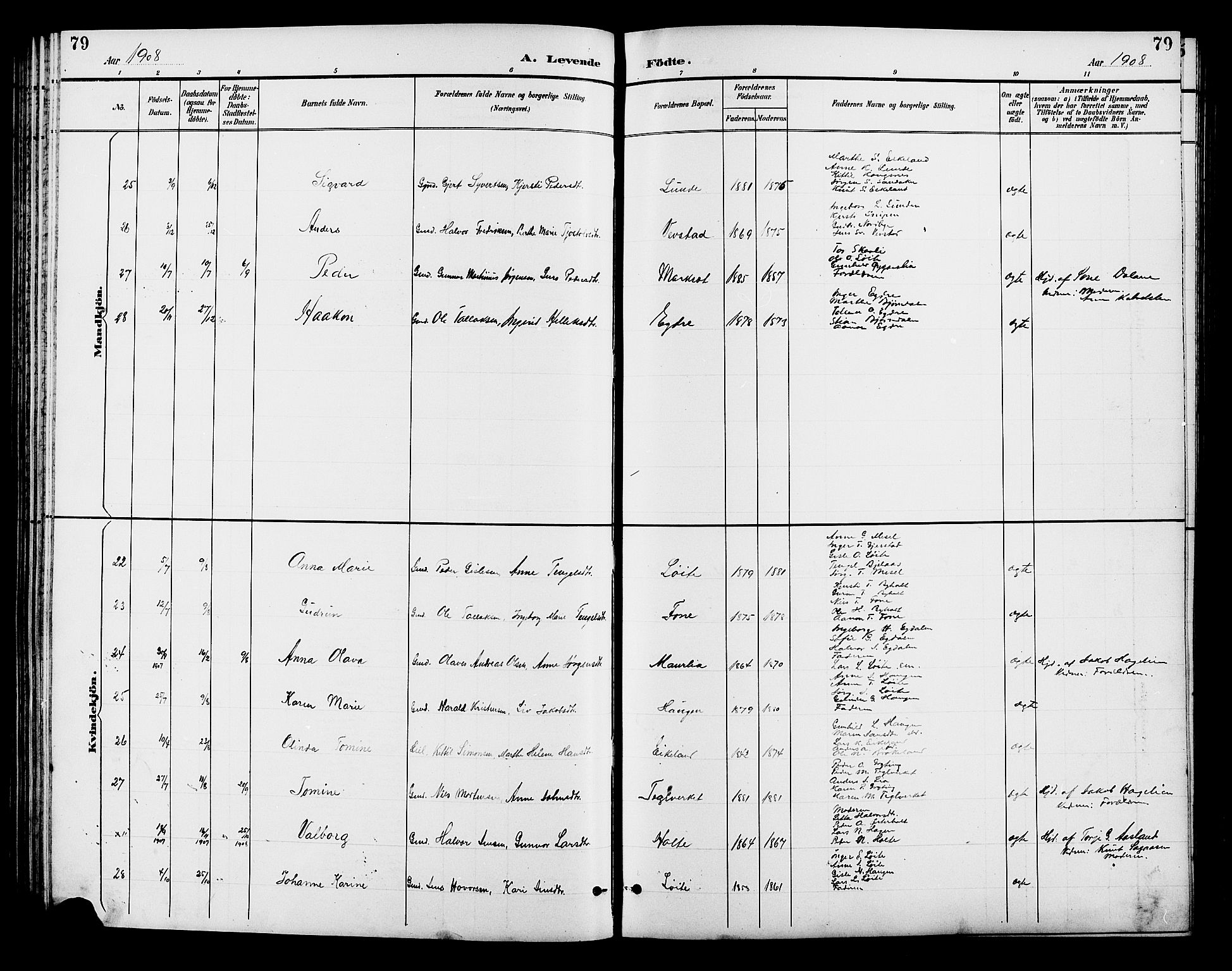 Gjerstad sokneprestkontor, AV/SAK-1111-0014/F/Fb/Fba/L0007: Parish register (copy) no. B 7, 1891-1908, p. 79