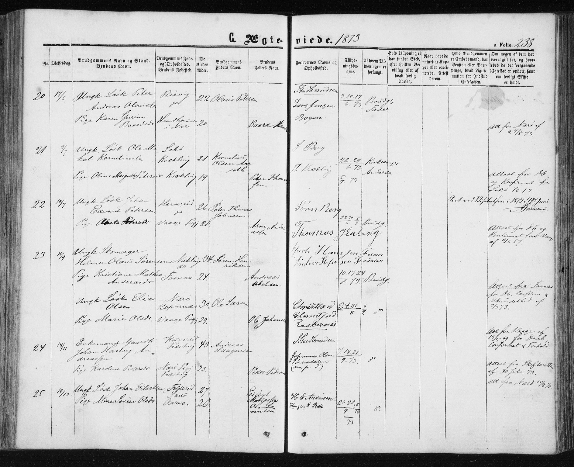 Ministerialprotokoller, klokkerbøker og fødselsregistre - Nord-Trøndelag, SAT/A-1458/780/L0641: Parish register (official) no. 780A06, 1857-1874, p. 238