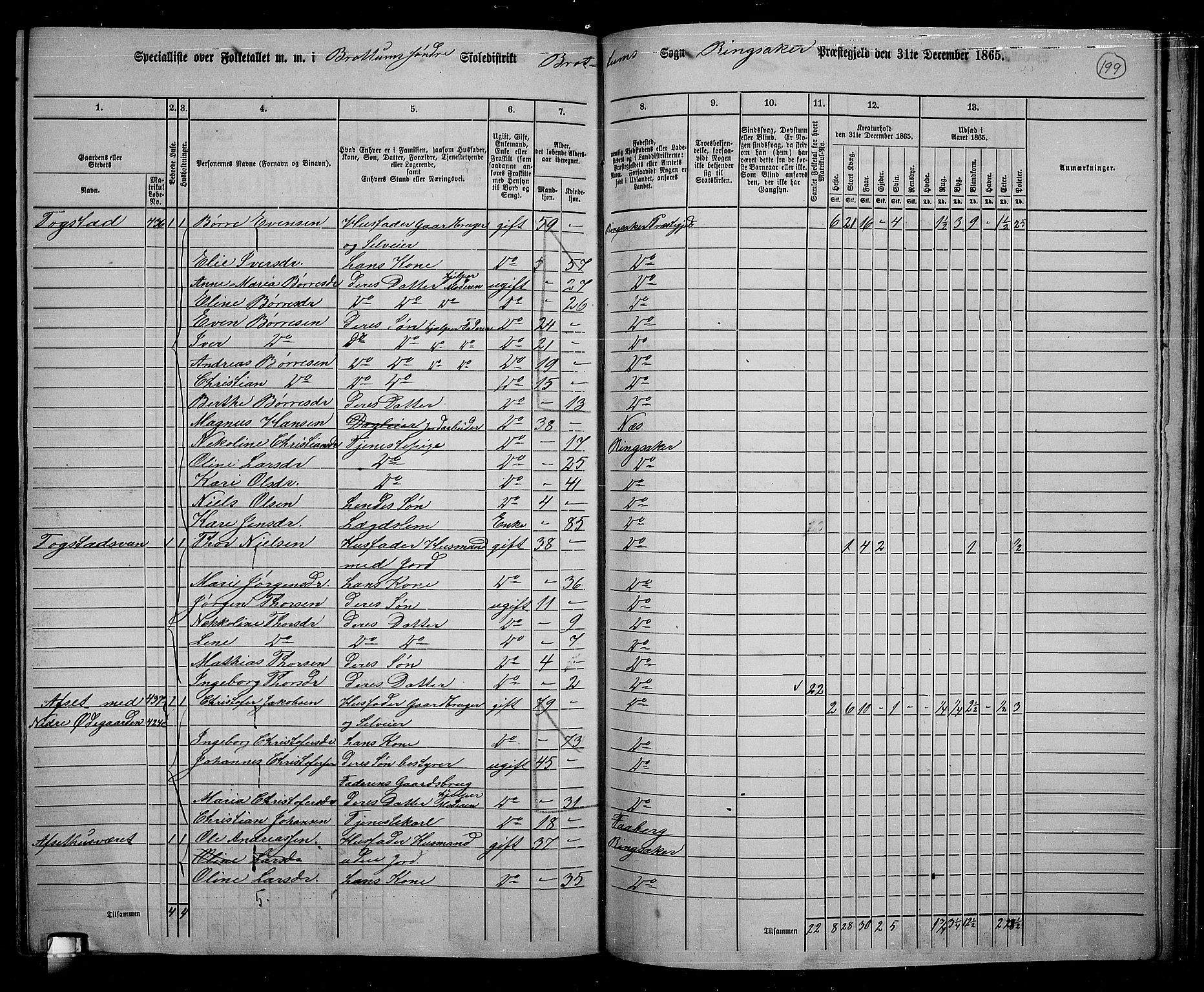 RA, 1865 census for Ringsaker, 1865, p. 441